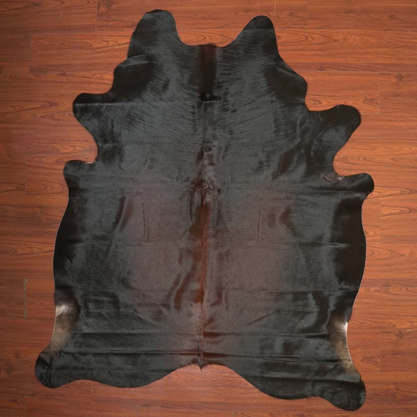 The Nguni Guy Nguni cowhide African decor Authentic cowhide Home decor Interior design Unique pattern Hand-selected Premium quality Natural beauty Exotic rug Genuine hide Statement piece Contemporary style Ethically sourced Sustainable decor Versatile accent Luxury rug Designer piece Modern aesthetic High-end craftsmanship Timeless elegance Designer home accents