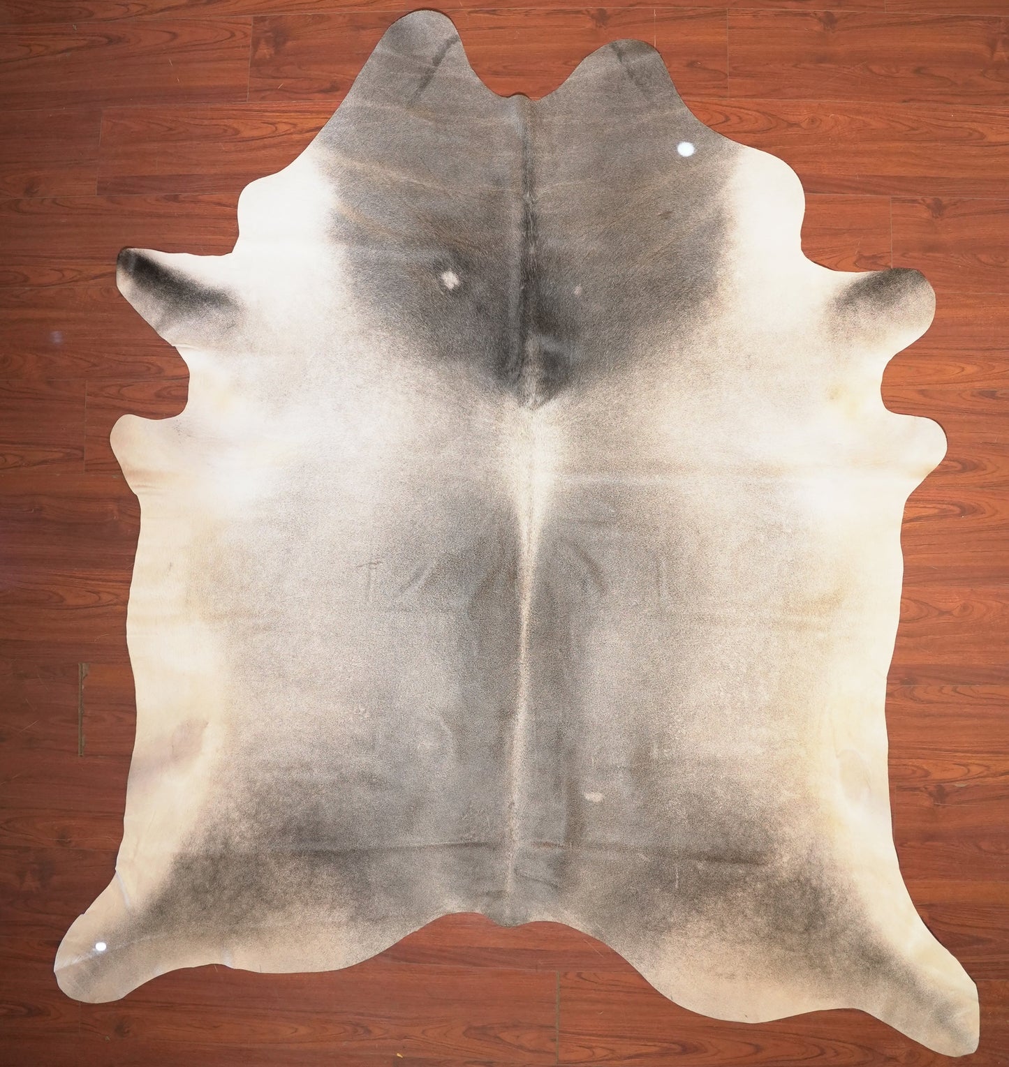 The Nguni Guy Nguni cowhide African decor Authentic cowhide Home decor Interior design Unique pattern Hand-selected Premium quality Natural beauty Exotic rug Genuine hide Statement piece Contemporary style Ethically sourced Sustainable decor Versatile accent Luxury rug Designer piece Modern aesthetic High-end craftsmanship Timeless elegance Designer home accents
