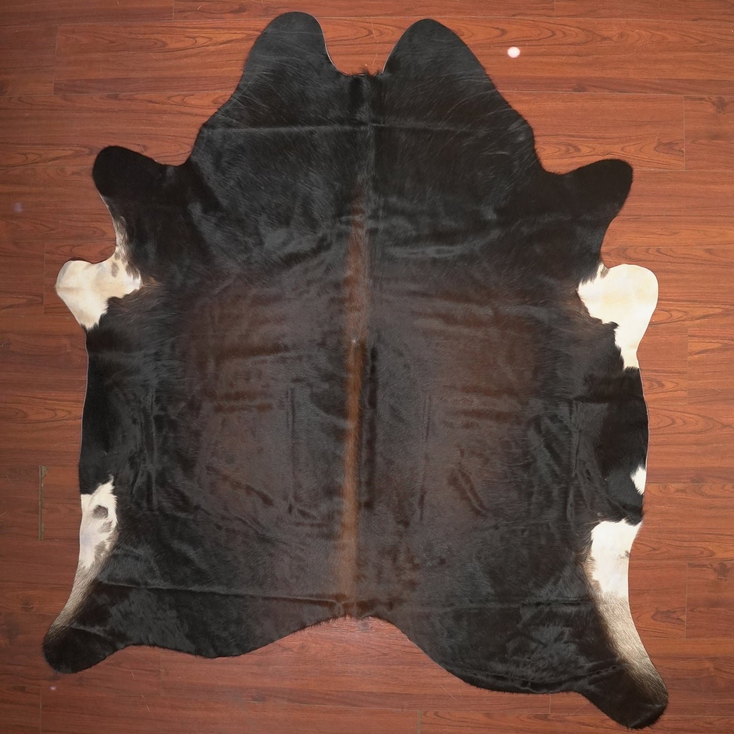The Nguni Guy Nguni cowhide African decor Authentic cowhide Home decor Interior design Unique pattern Hand-selected Premium quality Natural beauty Exotic rug Genuine hide Statement piece Contemporary style Ethically sourced Sustainable decor Versatile accent Luxury rug Designer piece Modern aesthetic High-end craftsmanship Timeless elegance Designer home accents