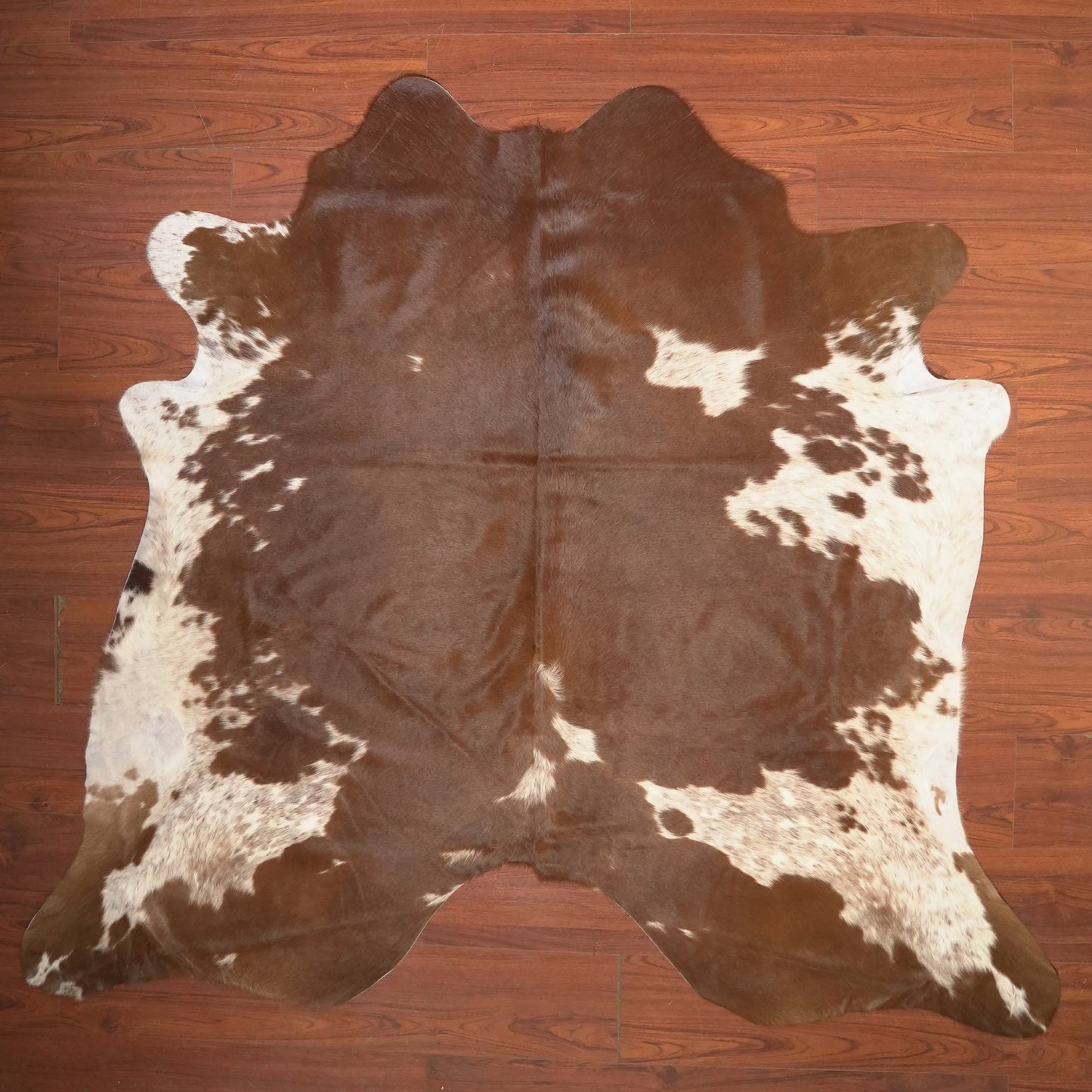 The Nguni Guy Nguni cowhide African decor Authentic cowhide Home decor Interior design Unique pattern Hand-selected Premium quality Natural beauty Exotic rug Genuine hide Statement piece Contemporary style Ethically sourced Sustainable decor Versatile accent Luxury rug Designer piece Modern aesthetic High-end craftsmanship Timeless elegance Designer home accents