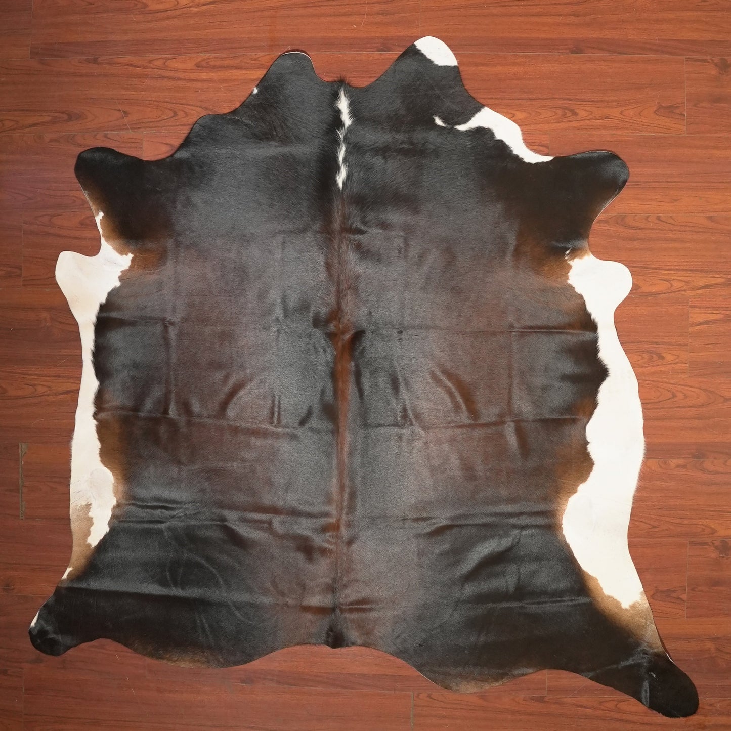 The Nguni Guy Nguni cowhide African decor Authentic cowhide Home decor Interior design Unique pattern Hand-selected Premium quality Natural beauty Exotic rug Genuine hide Statement piece Contemporary style Ethically sourced Sustainable decor Versatile accent Luxury rug Designer piece Modern aesthetic High-end craftsmanship Timeless elegance Designer home accents