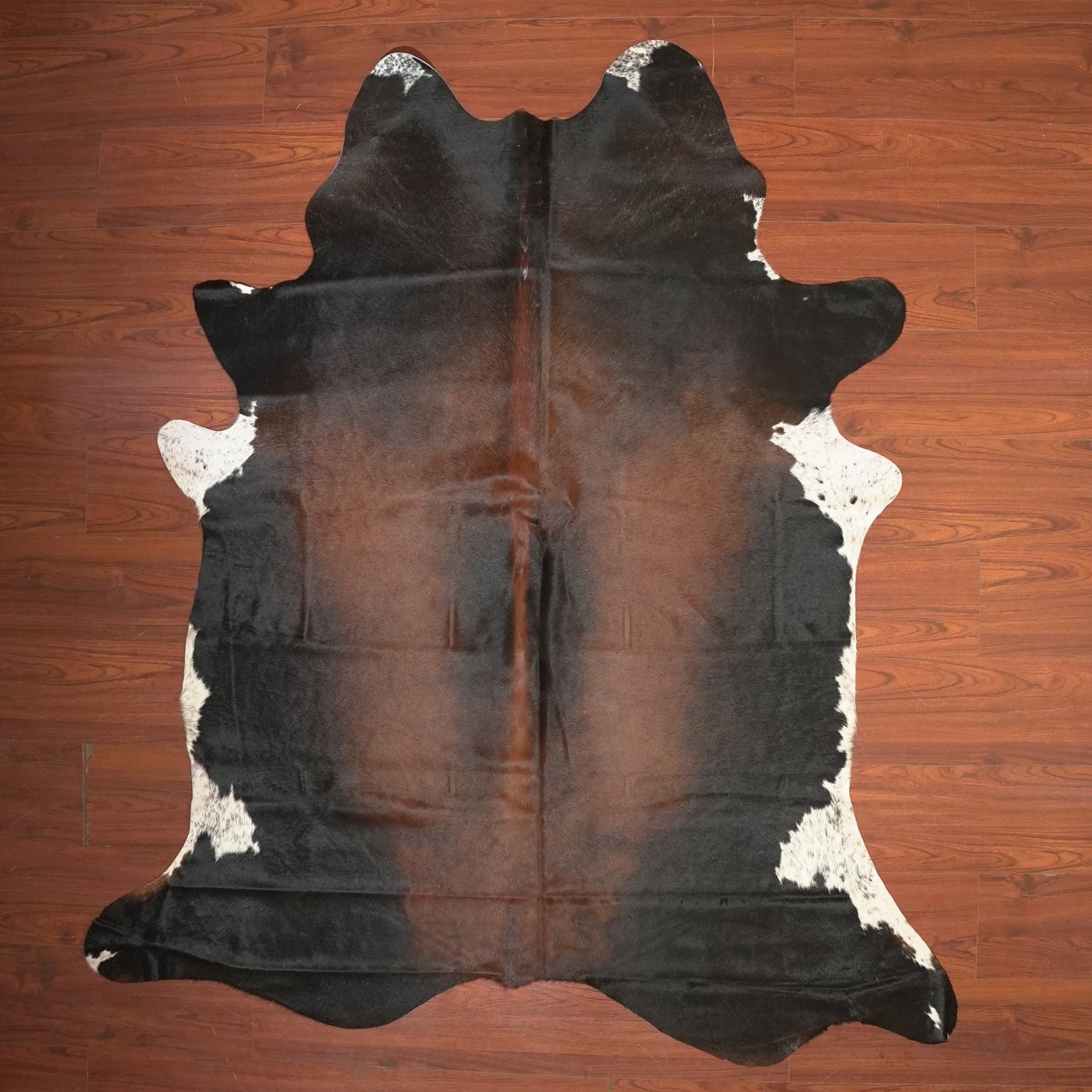 The Nguni Guy Nguni cowhide African decor Authentic cowhide Home decor Interior design Unique pattern Hand-selected Premium quality Natural beauty Exotic rug Genuine hide Statement piece Contemporary style Ethically sourced Sustainable decor Versatile accent Luxury rug Designer piece Modern aesthetic High-end craftsmanship Timeless elegance Designer home accents
