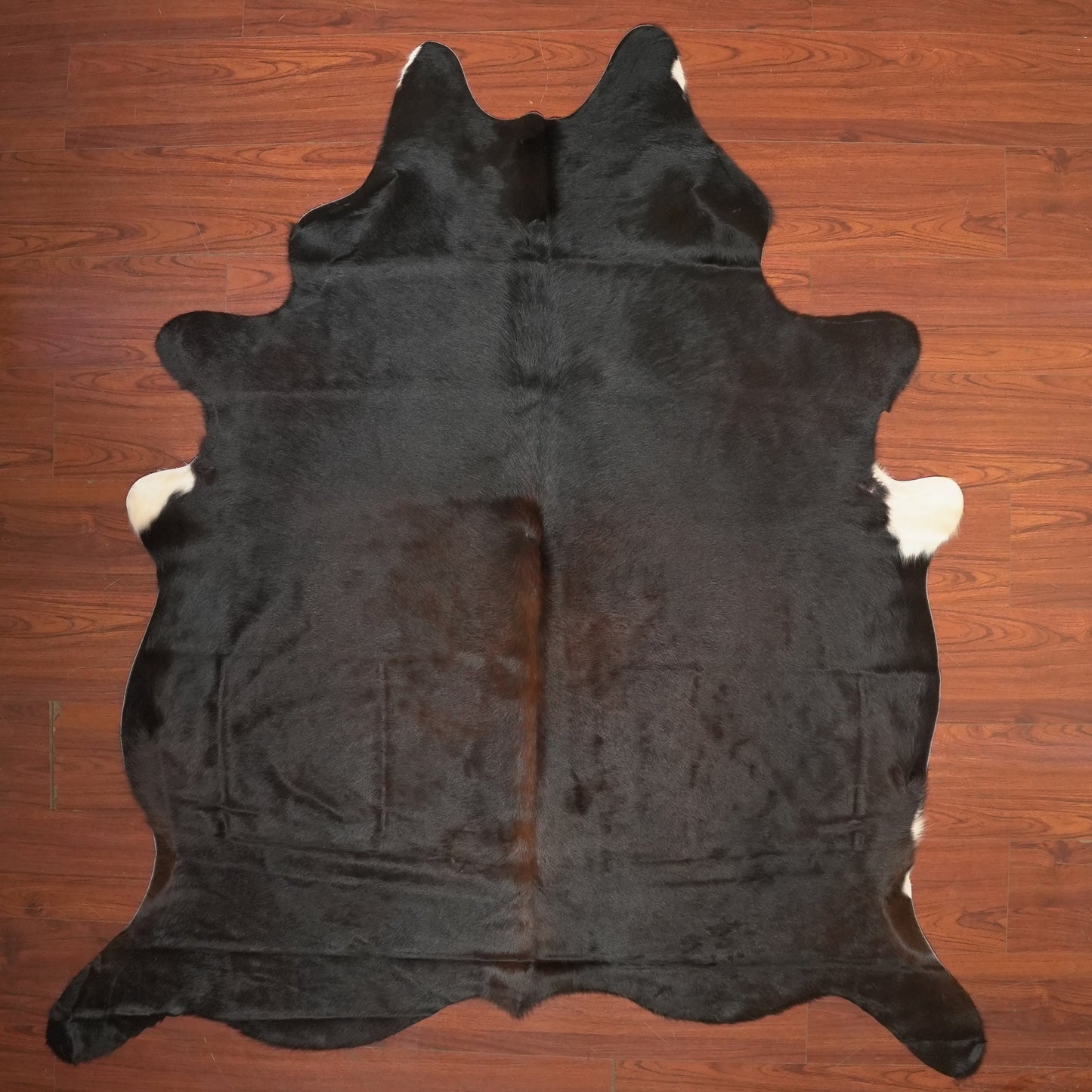The Nguni Guy Nguni cowhide African decor Authentic cowhide Home decor Interior design Unique pattern Hand-selected Premium quality Natural beauty Exotic rug Genuine hide Statement piece Contemporary style Ethically sourced Sustainable decor Versatile accent Luxury rug Designer piece Modern aesthetic High-end craftsmanship Timeless elegance Designer home accents
