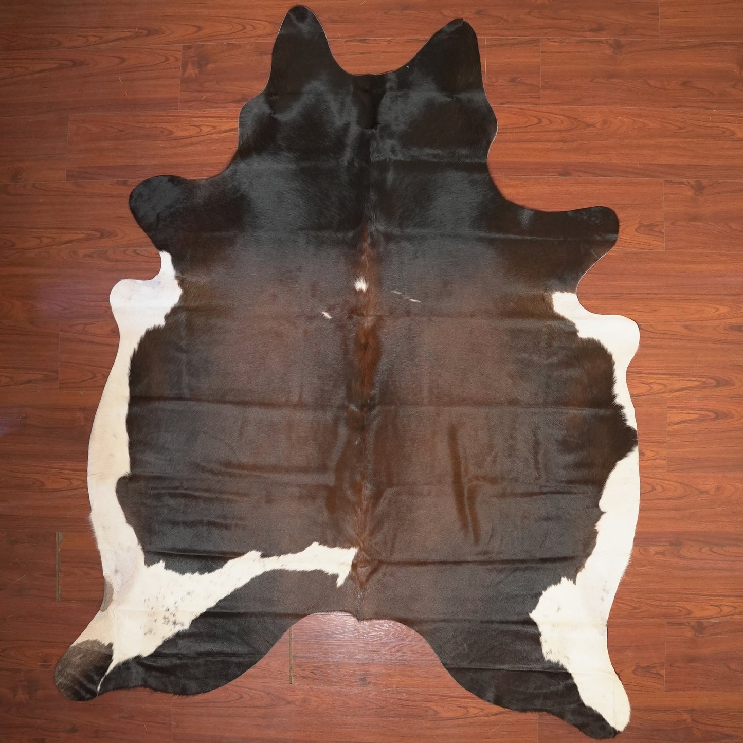 The Nguni Guy Nguni cowhide African decor Authentic cowhide Home decor Interior design Unique pattern Hand-selected Premium quality Natural beauty Exotic rug Genuine hide Statement piece Contemporary style Ethically sourced Sustainable decor Versatile accent Luxury rug Designer piece Modern aesthetic High-end craftsmanship Timeless elegance Designer home accents