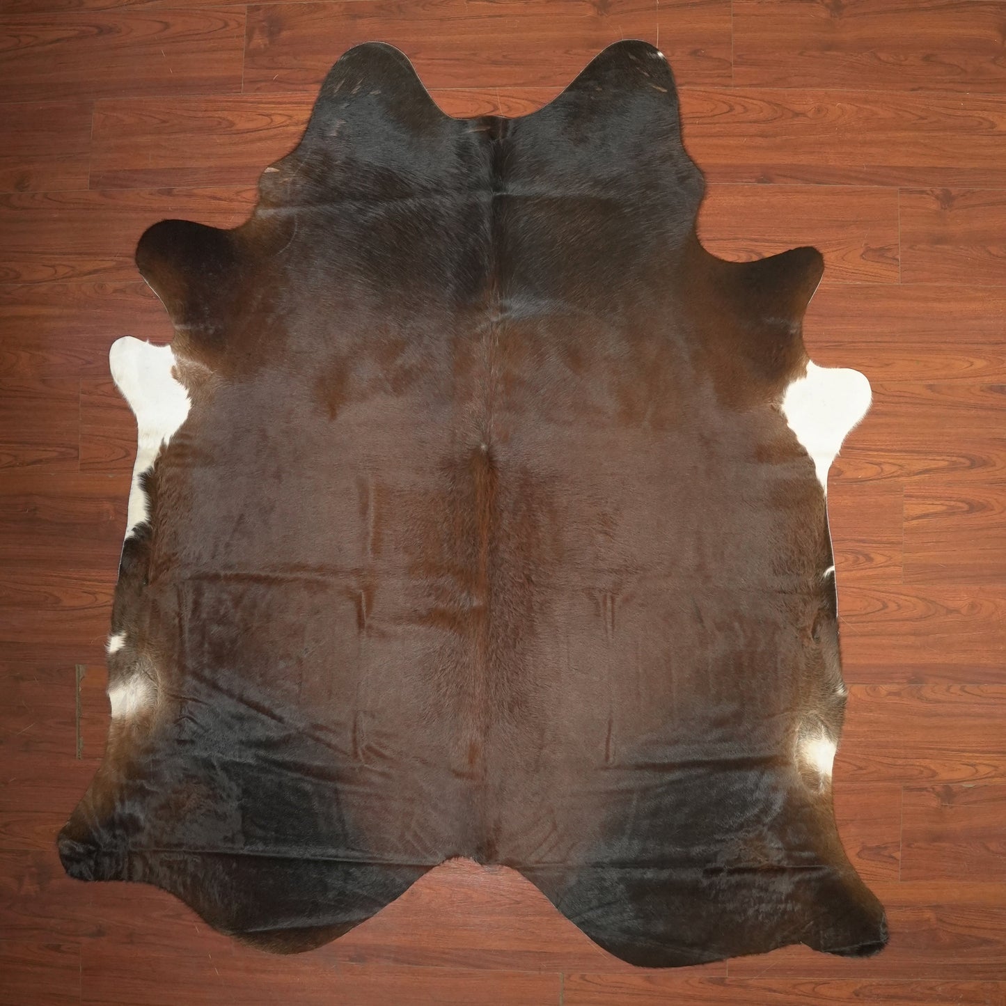 The Nguni Guy Nguni cowhide African decor Authentic cowhide Home decor Interior design Unique pattern Hand-selected Premium quality Natural beauty Exotic rug Genuine hide Statement piece Contemporary style Ethically sourced Sustainable decor Versatile accent Luxury rug Designer piece Modern aesthetic High-end craftsmanship Timeless elegance Designer home accents