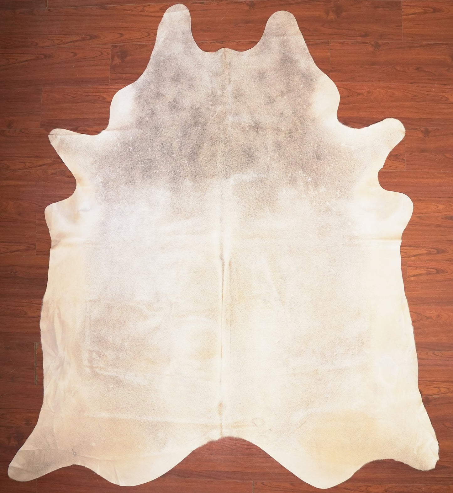 The Nguni Guy Nguni cowhide African decor Authentic cowhide Home decor Interior design Unique pattern Hand-selected Premium quality Natural beauty Exotic rug Genuine hide Statement piece Contemporary style Ethically sourced Sustainable decor Versatile accent Luxury rug Designer piece Modern aesthetic High-end craftsmanship Timeless elegance Designer home accents