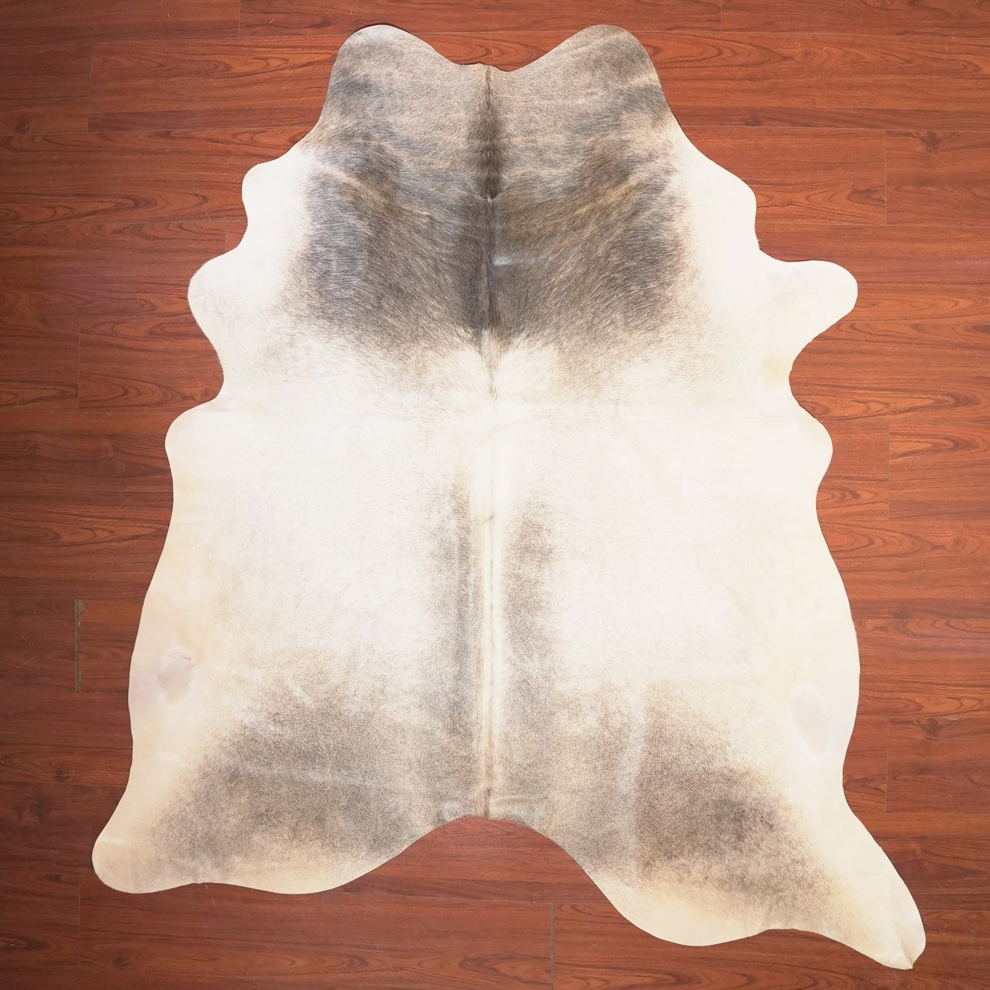 The Nguni Guy Nguni cowhide African decor Authentic cowhide Home decor Interior design Unique pattern Hand-selected Premium quality Natural beauty Exotic rug Genuine hide Statement piece Contemporary style Ethically sourced Sustainable decor Versatile accent Luxury rug Designer piece Modern aesthetic High-end craftsmanship Timeless elegance Designer home accents