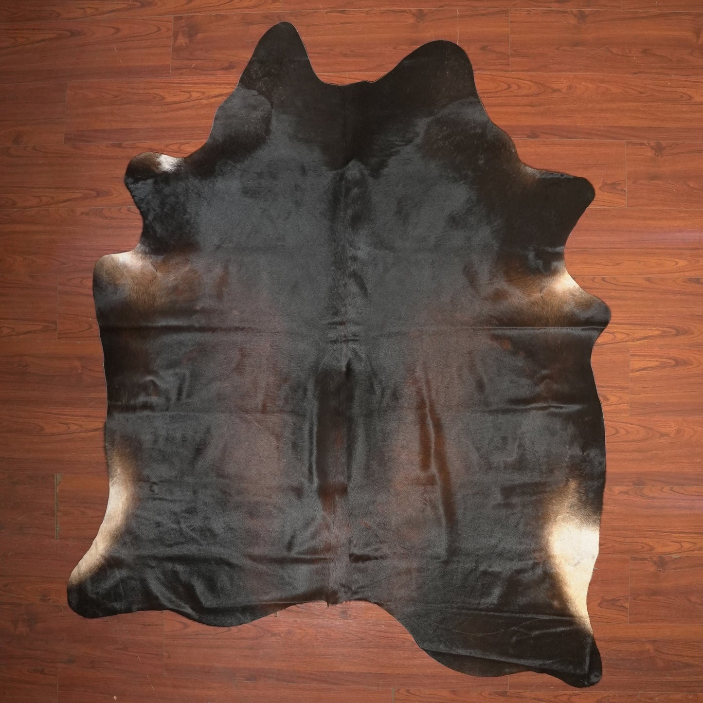 The Nguni Guy Nguni cowhide African decor Authentic cowhide Home decor Interior design Unique pattern Hand-selected Premium quality Natural beauty Exotic rug Genuine hide Statement piece Contemporary style Ethically sourced Sustainable decor Versatile accent Luxury rug Designer piece Modern aesthetic High-end craftsmanship Timeless elegance Designer home accents