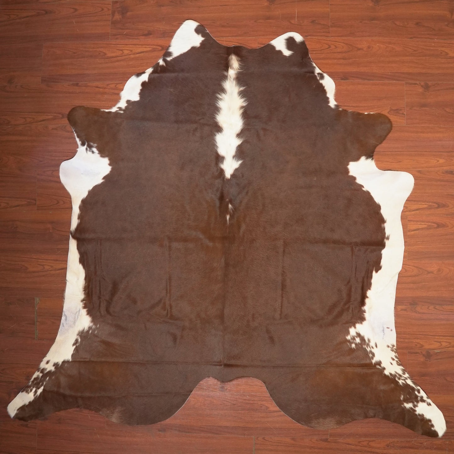 The Nguni Guy Nguni cowhide African decor Authentic cowhide Home decor Interior design Unique pattern Hand-selected Premium quality Natural beauty Exotic rug Genuine hide Statement piece Contemporary style Ethically sourced Sustainable decor Versatile accent Luxury rug Designer piece Modern aesthetic High-end craftsmanship Timeless elegance Designer home accents