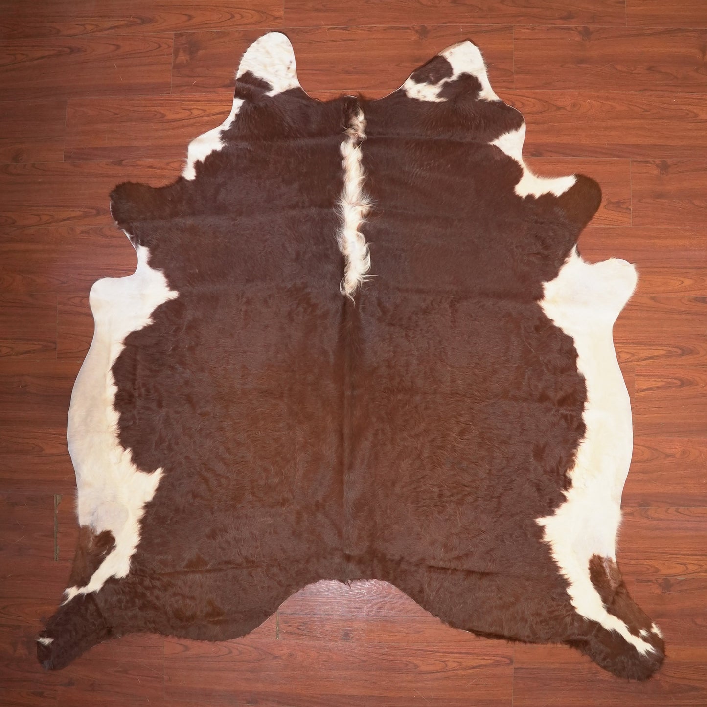 The Nguni Guy Nguni cowhide African decor Authentic cowhide Home decor Interior design Unique pattern Hand-selected Premium quality Natural beauty Exotic rug Genuine hide Statement piece Contemporary style Ethically sourced Sustainable decor Versatile accent Luxury rug Designer piece Modern aesthetic High-end craftsmanship Timeless elegance Designer home accents