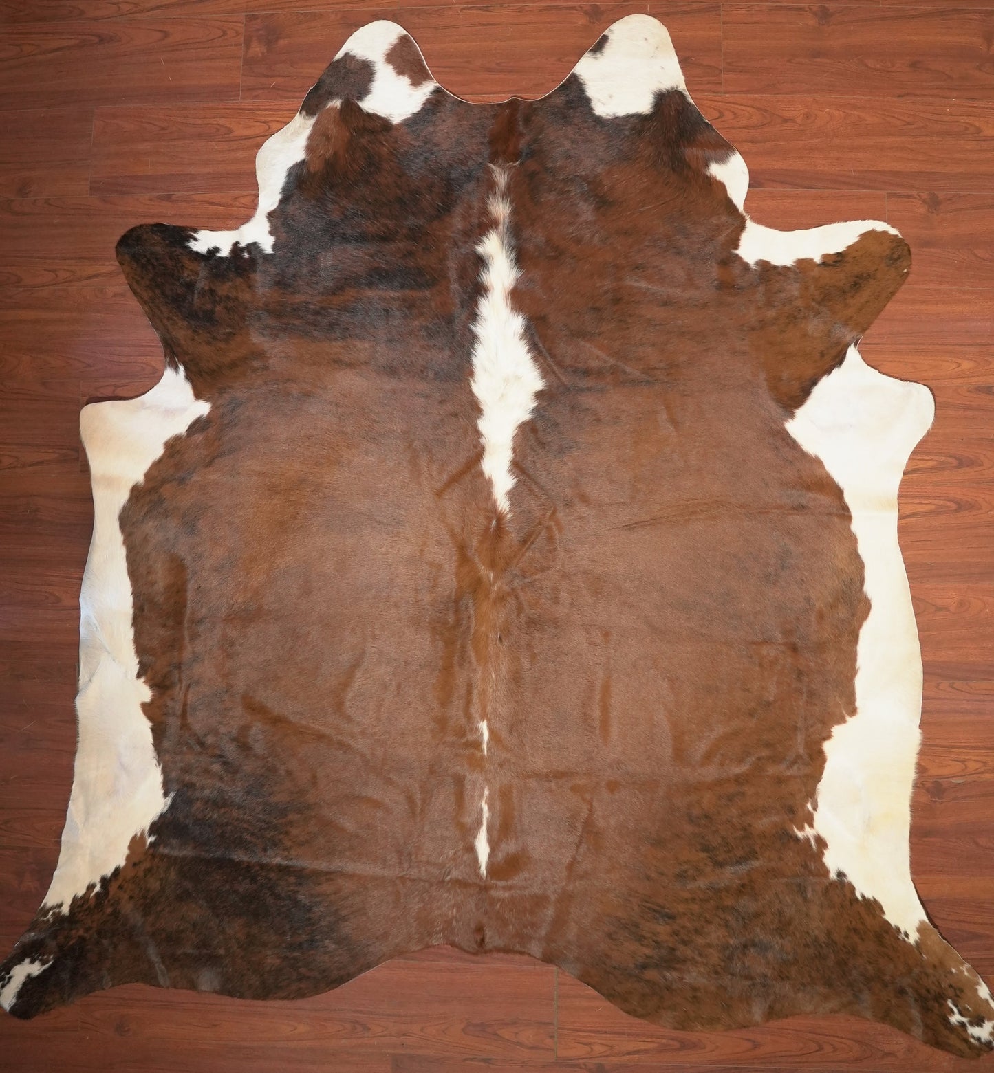 The Nguni Guy Nguni cowhide African decor Authentic cowhide Home decor Interior design Unique pattern Hand-selected Premium quality Natural beauty Exotic rug Genuine hide Statement piece Contemporary style Ethically sourced Sustainable decor Versatile accent Luxury rug Designer piece Modern aesthetic High-end craftsmanship Timeless elegance Designer home accents