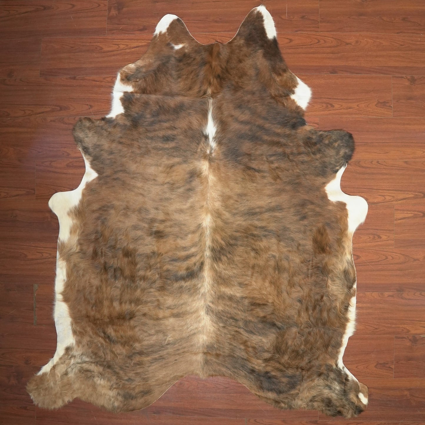 The Nguni Guy Nguni cowhide African decor Authentic cowhide Home decor Interior design Unique pattern Hand-selected Premium quality Natural beauty Exotic rug Genuine hide Statement piece Contemporary style Ethically sourced Sustainable decor Versatile accent Luxury rug Designer piece Modern aesthetic High-end craftsmanship Timeless elegance Designer home accents