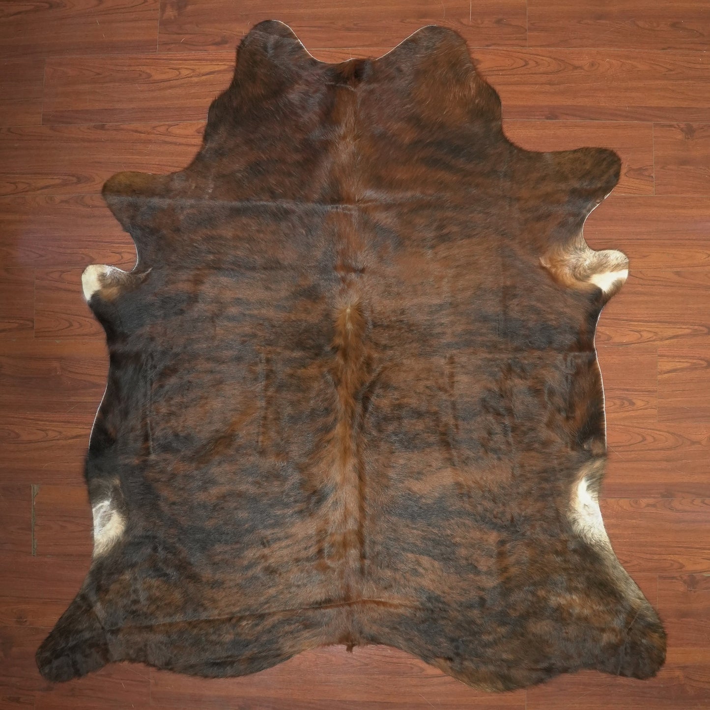 The Nguni Guy Nguni cowhide African decor Authentic cowhide Home decor Interior design Unique pattern Hand-selected Premium quality Natural beauty Exotic rug Genuine hide Statement piece Contemporary style Ethically sourced Sustainable decor Versatile accent Luxury rug Designer piece Modern aesthetic High-end craftsmanship Timeless elegance Designer home accents