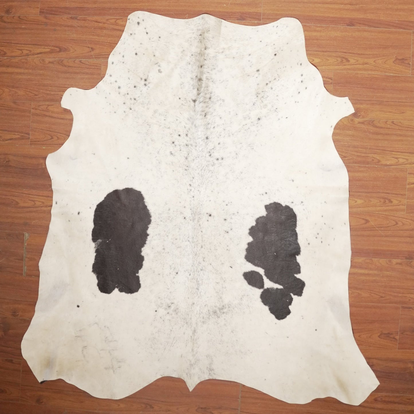 The Nguni Guy Nguni cowhide African decor Authentic cowhide Home decor Interior design Unique pattern Hand-selected Premium quality Natural beauty Exotic rug Genuine hide Statement piece Contemporary style Ethically sourced Sustainable decor Versatile accent Luxury rug Designer piece Modern aesthetic High-end craftsmanship Timeless elegance Designer home accents