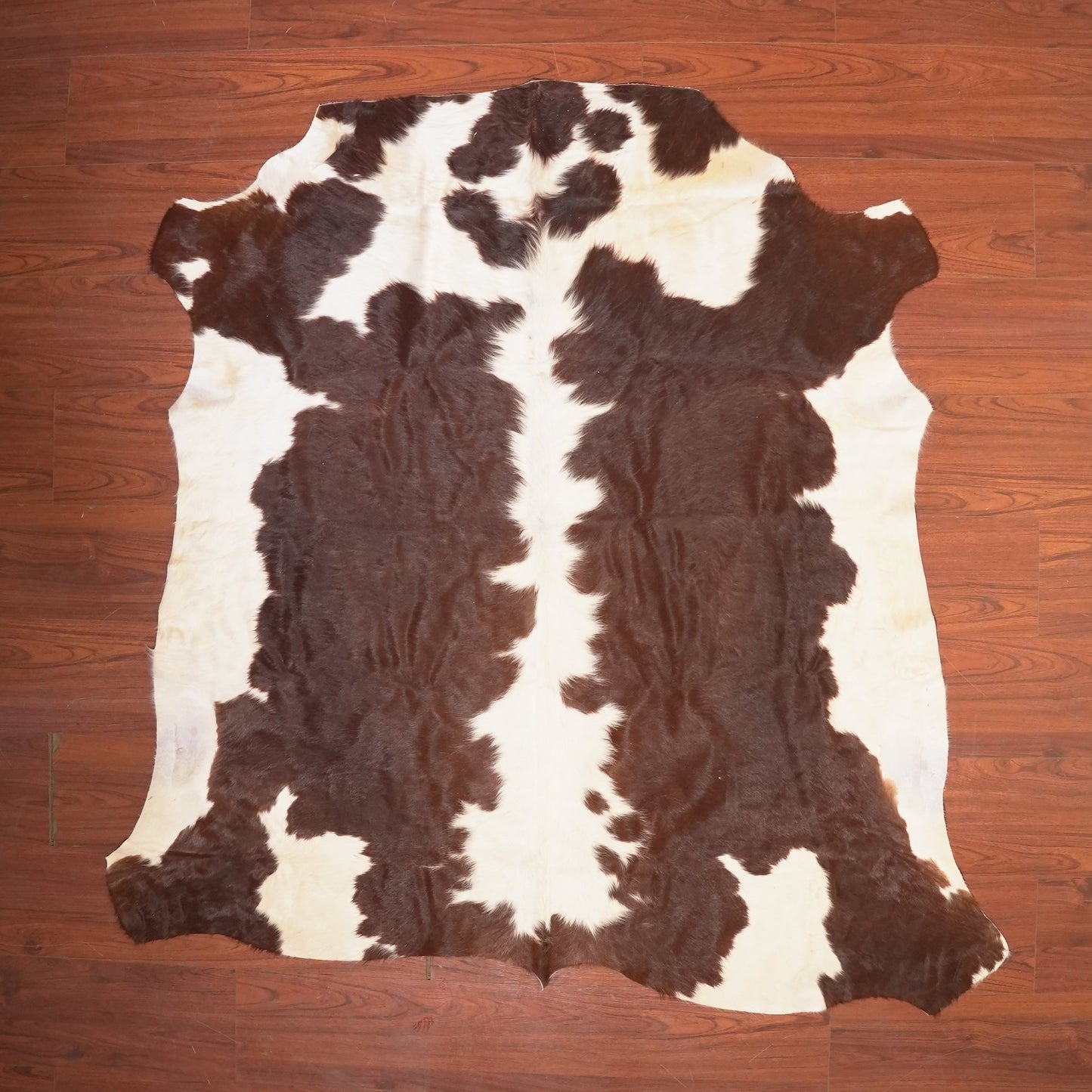 The Nguni Guy Nguni cowhide African decor Authentic cowhide Home decor Interior design Unique pattern Hand-selected Premium quality Natural beauty Exotic rug Genuine hide Statement piece Contemporary style Ethically sourced Sustainable decor Versatile accent Luxury rug Designer piece Modern aesthetic High-end craftsmanship Timeless elegance Designer home accents