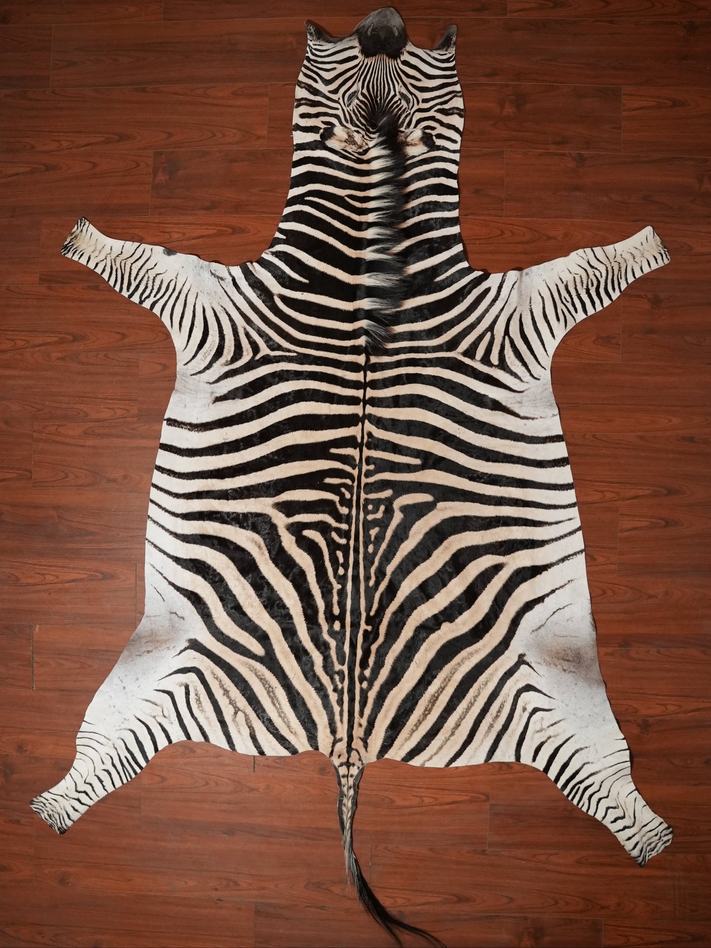 Zebra skin rug on a wooden floor