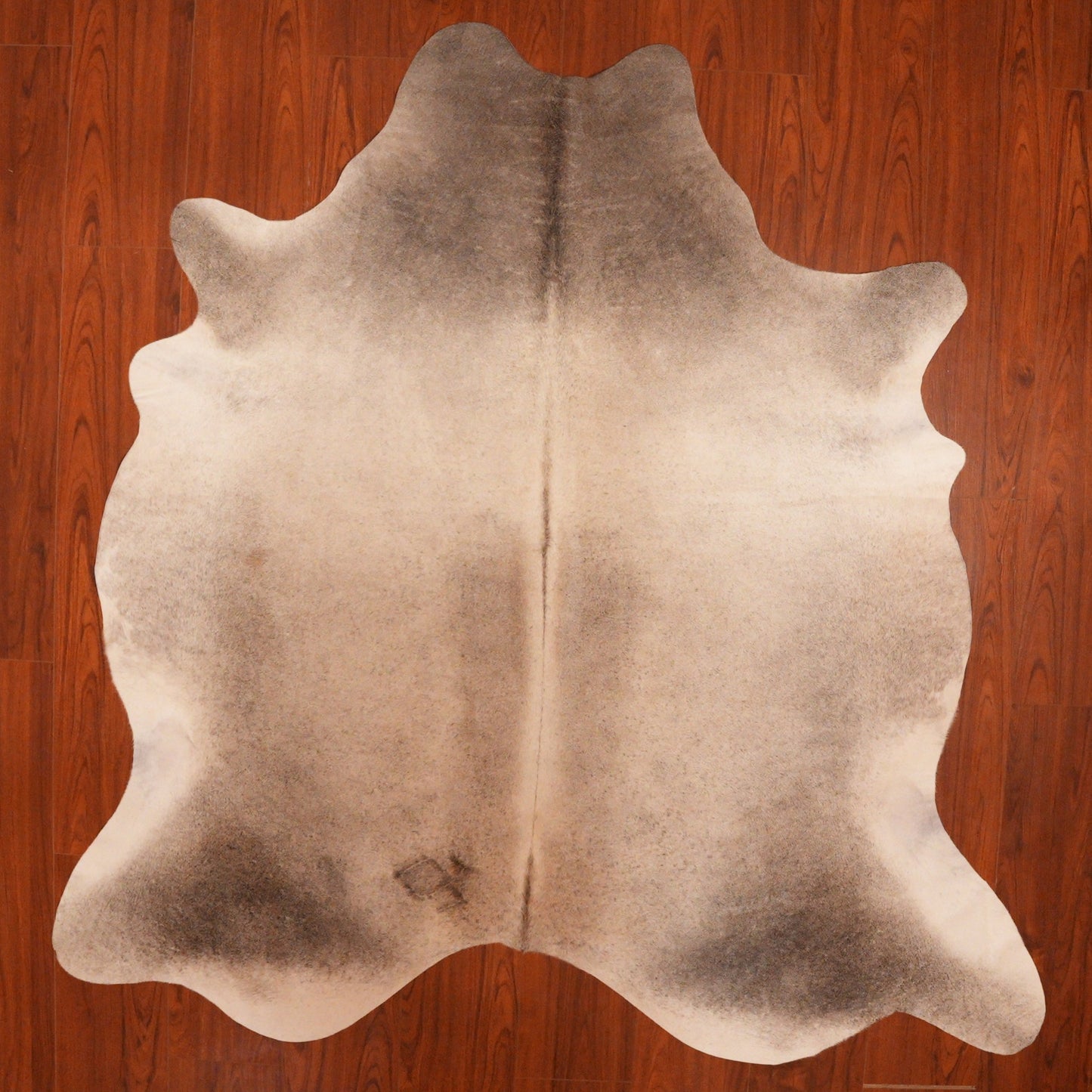 The Nguni Guy Nguni cowhide African decor Authentic cowhide Home decor Interior design Unique pattern Hand-selected Premium quality Natural beauty Exotic rug Genuine hide Statement piece Contemporary style Ethically sourced Sustainable decor Versatile accent Luxury rug Designer piece Modern aesthetic High-end craftsmanship Timeless elegance Designer home accents