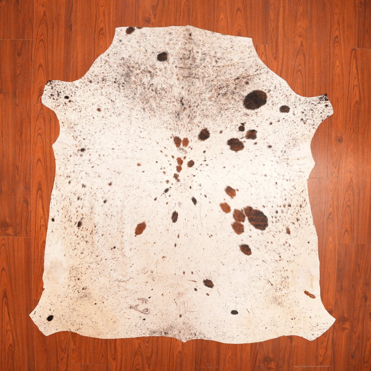The Nguni Guy Nguni cowhide African decor Authentic cowhide Home decor Interior design Unique pattern Hand-selected Premium quality Natural beauty Exotic rug Genuine hide Statement piece Contemporary style Ethically sourced Sustainable decor Versatile accent Luxury rug Designer piece Modern aesthetic High-end craftsmanship Timeless elegance Designer home accents