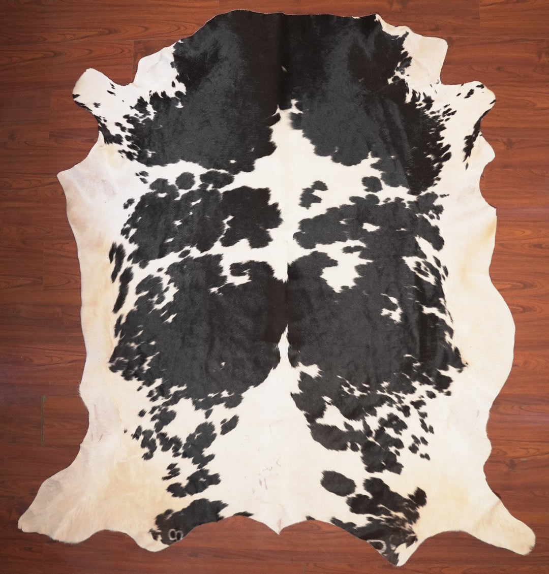 The Nguni Guy Nguni cowhide African decor Authentic cowhide Home decor Interior design Unique pattern Hand-selected Premium quality Natural beauty Exotic rug Genuine hide Statement piece Contemporary style Ethically sourced Sustainable decor Versatile accent Luxury rug Designer piece Modern aesthetic High-end craftsmanship Timeless elegance Designer home accents