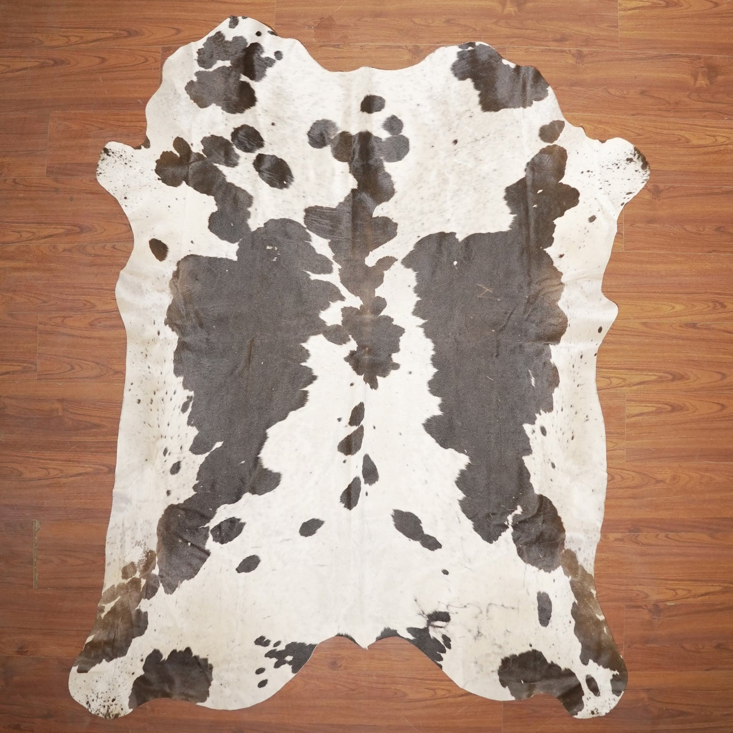 The Nguni Guy Nguni cowhide African decor Authentic cowhide Home decor Interior design Unique pattern Hand-selected Premium quality Natural beauty Exotic rug Genuine hide Statement piece Contemporary style Ethically sourced Sustainable decor Versatile accent Luxury rug Designer piece Modern aesthetic High-end craftsmanship Timeless elegance Designer home accents
