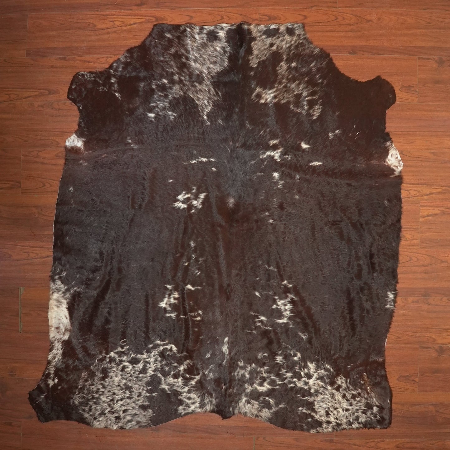 The Nguni Guy Nguni cowhide African decor Authentic cowhide Home decor Interior design Unique pattern Hand-selected Premium quality Natural beauty Exotic rug Genuine hide Statement piece Contemporary style Ethically sourced Sustainable decor Versatile accent Luxury rug Designer piece Modern aesthetic High-end craftsmanship Timeless elegance Designer home accents