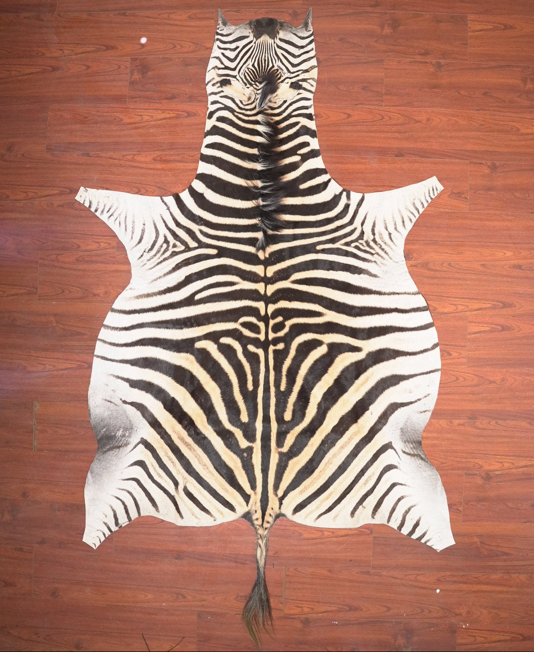 Zebra skin rug on a wooden floor