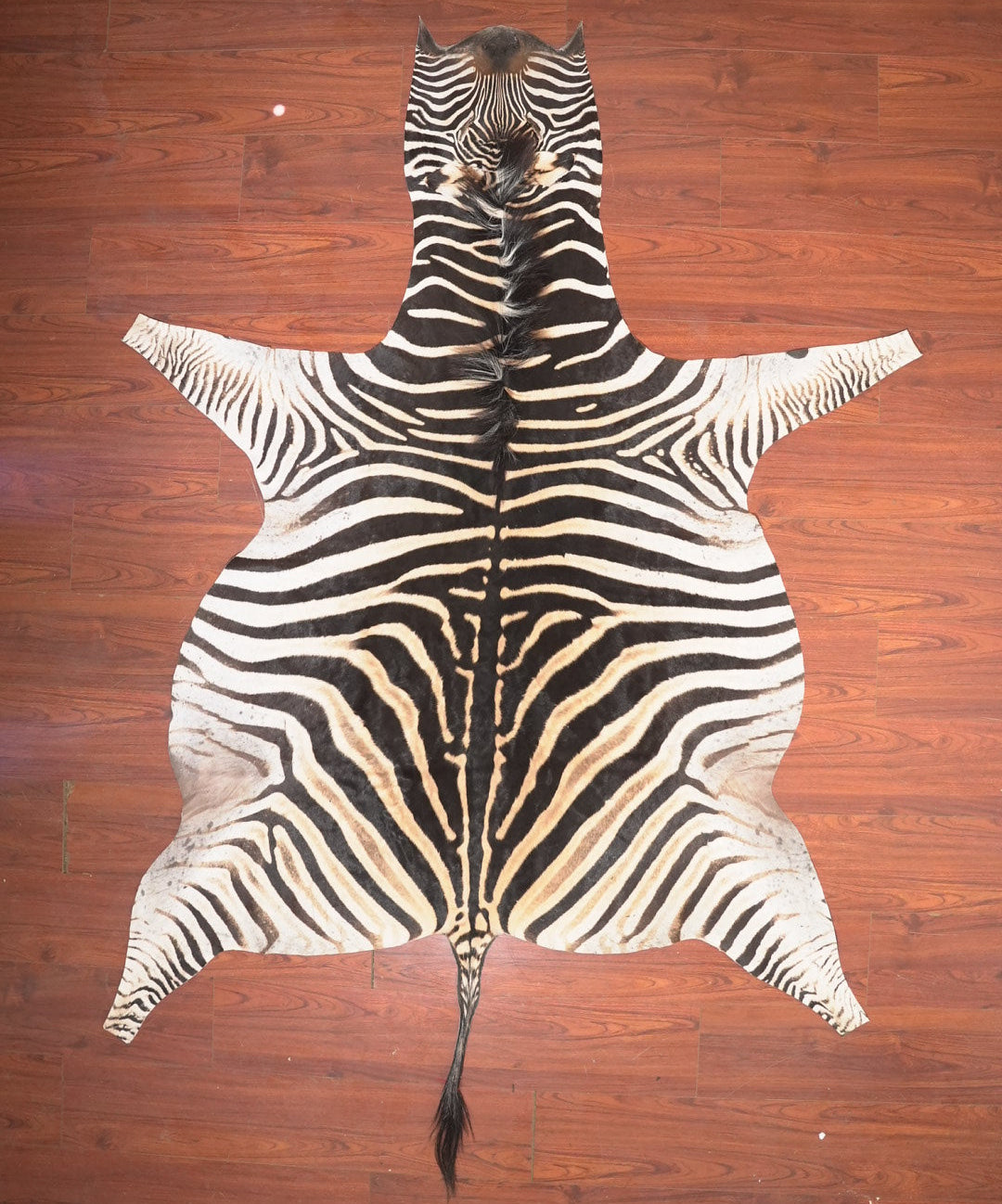 Zebra skin rug on a wooden floor