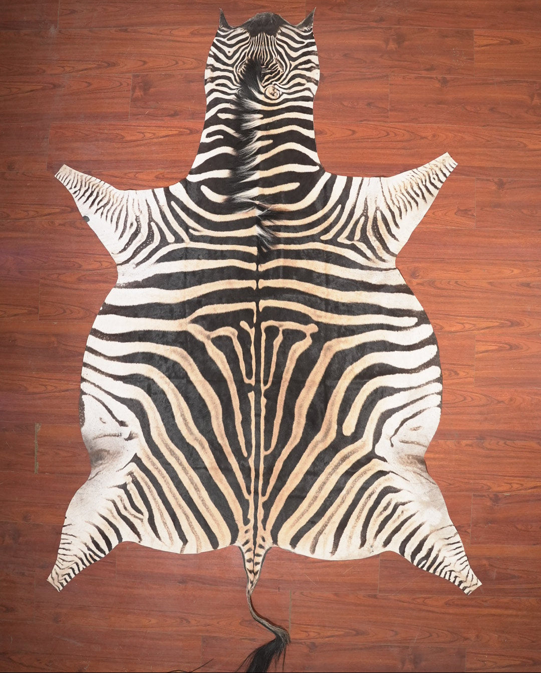 The Nguni Guy Nguni zebra hide African decor Authentic zebra skin Home decor Interior design Unique pattern Hand-selected Premium quality Natural beauty Exotic rug Genuine hide Statement piece Contemporary style Ethically sourced Sustainable decor Versatile accent Luxury rug Designer piece Modern aesthetic High-end craftsmanship Timeless elegance Designer home accents