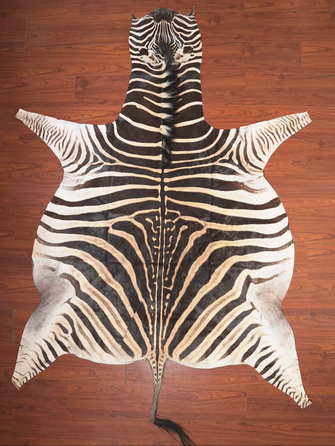 The Nguni Guy Nguni zebra hide African decor Authentic zebra skin Home decor Interior design Unique pattern Hand-selected Premium quality Natural beauty Exotic rug Genuine hide Statement piece Contemporary style Ethically sourced Sustainable decor Versatile accent Luxury rug Designer piece Modern aesthetic High-end craftsmanship Timeless elegance Designer home accents