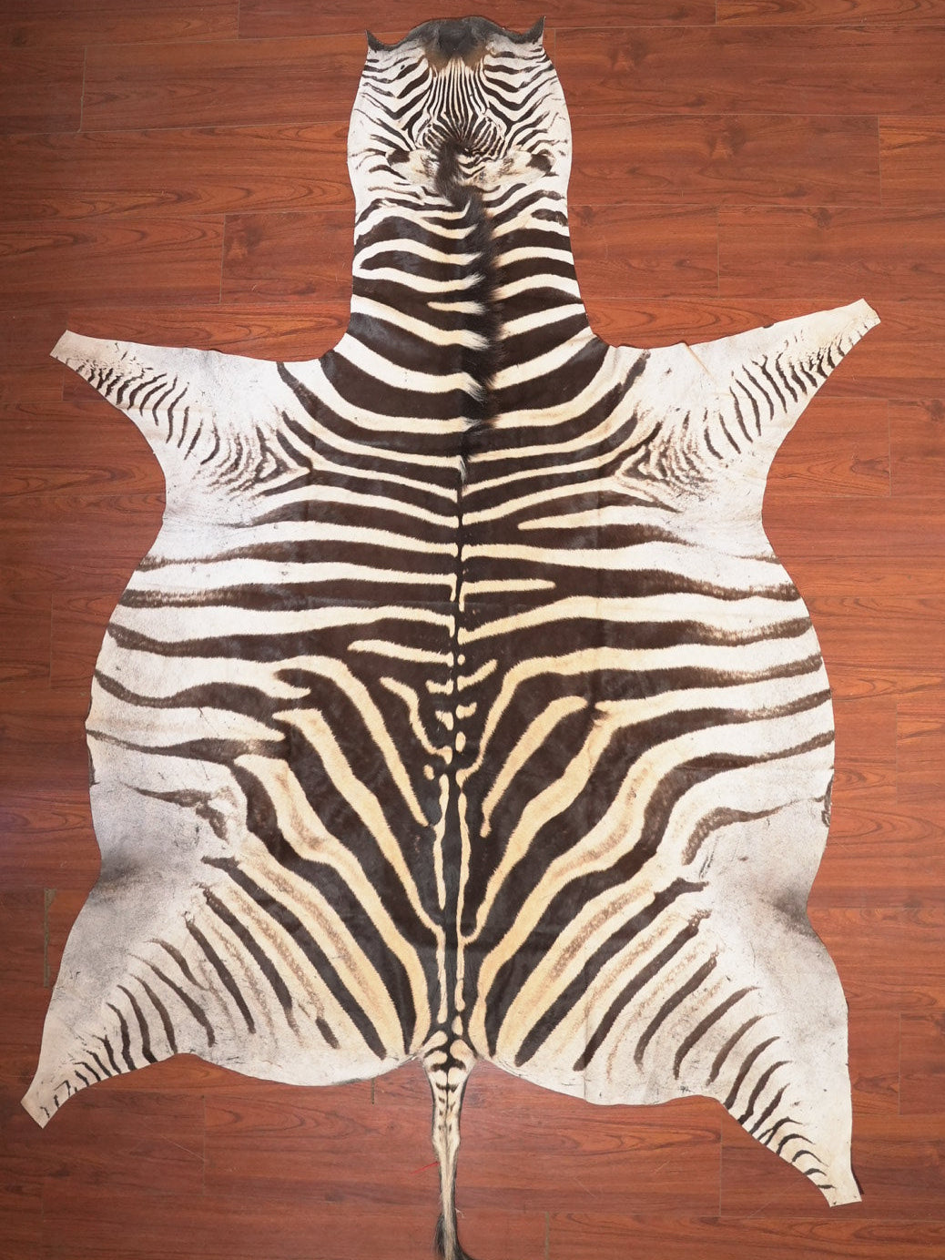 The Nguni Guy Nguni zebra hide African decor Authentic zebra skin Home decor Interior design Unique pattern Hand-selected Premium quality Natural beauty Exotic rug Genuine hide Statement piece Contemporary style Ethically sourced Sustainable decor Versatile accent Luxury rug Designer piece Modern aesthetic High-end craftsmanship Timeless elegance Designer home accents