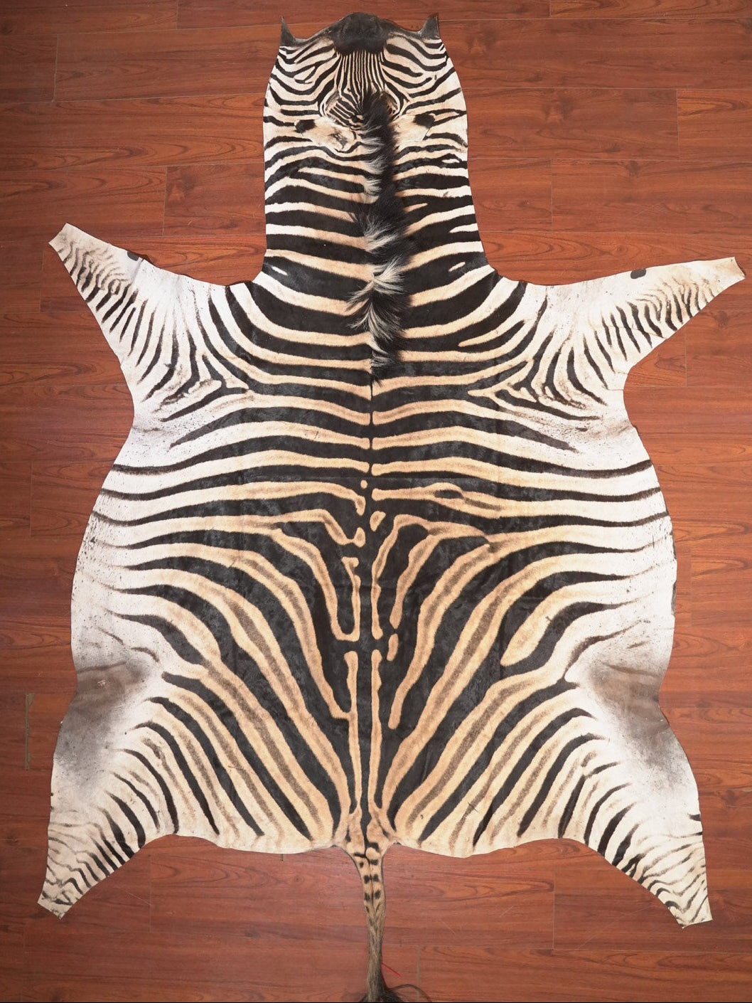 The Nguni Guy Nguni zebra hide African decor Authentic zebra skin Home decor Interior design Unique pattern Hand-selected Premium quality Natural beauty Exotic rug Genuine hide Statement piece Contemporary style Ethically sourced Sustainable decor Versatile accent Luxury rug Designer piece Modern aesthetic High-end craftsmanship Timeless elegance Designer home accents