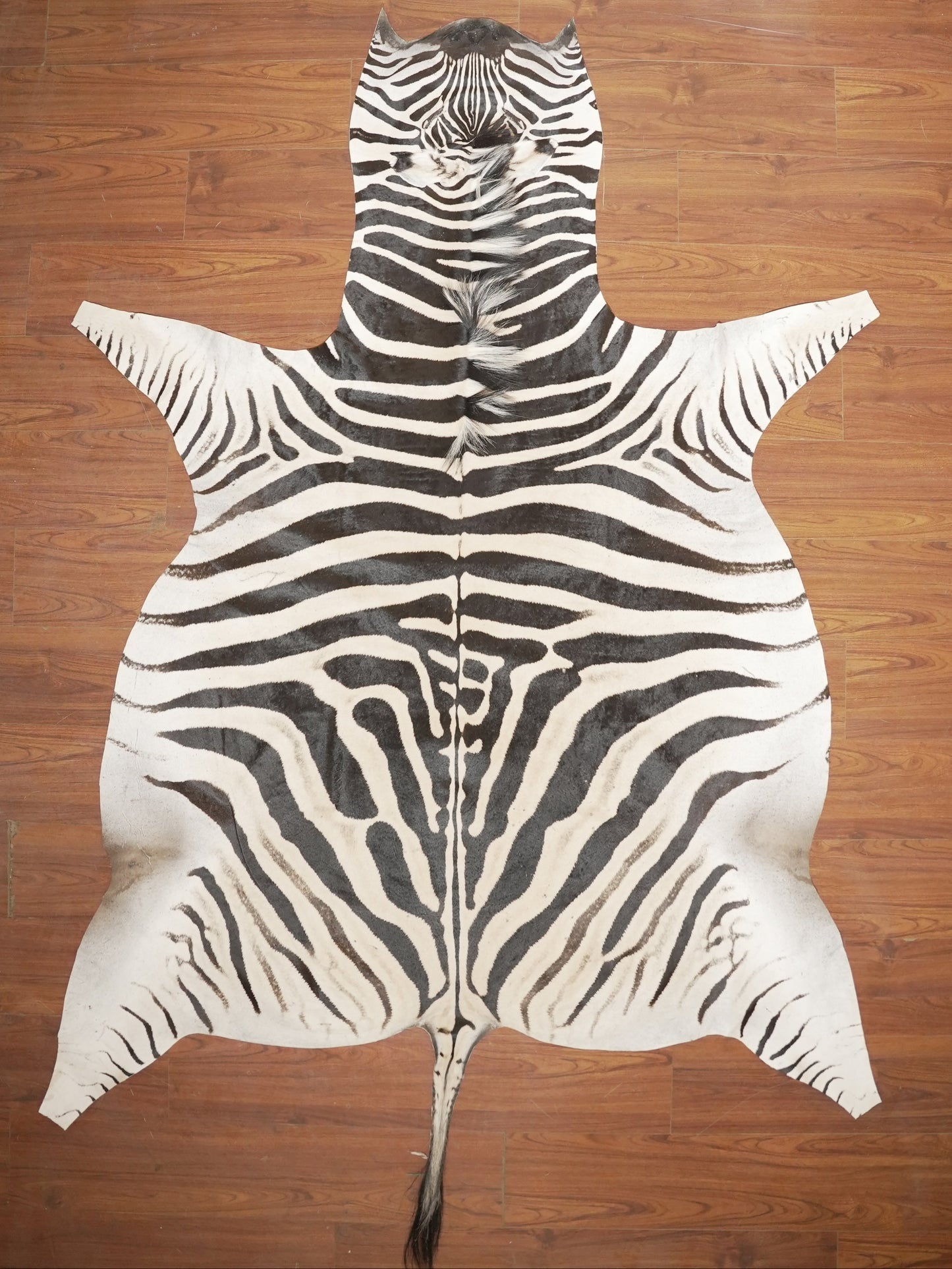 The Nguni Guy Nguni zebra hide African decor Authentic zebra skin Home decor Interior design Unique pattern Hand-selected Premium quality Natural beauty Exotic rug Genuine hide Statement piece Contemporary style Ethically sourced Sustainable decor Versatile accent Luxury rug Designer piece Modern aesthetic High-end craftsmanship Timeless elegance Designer home accents