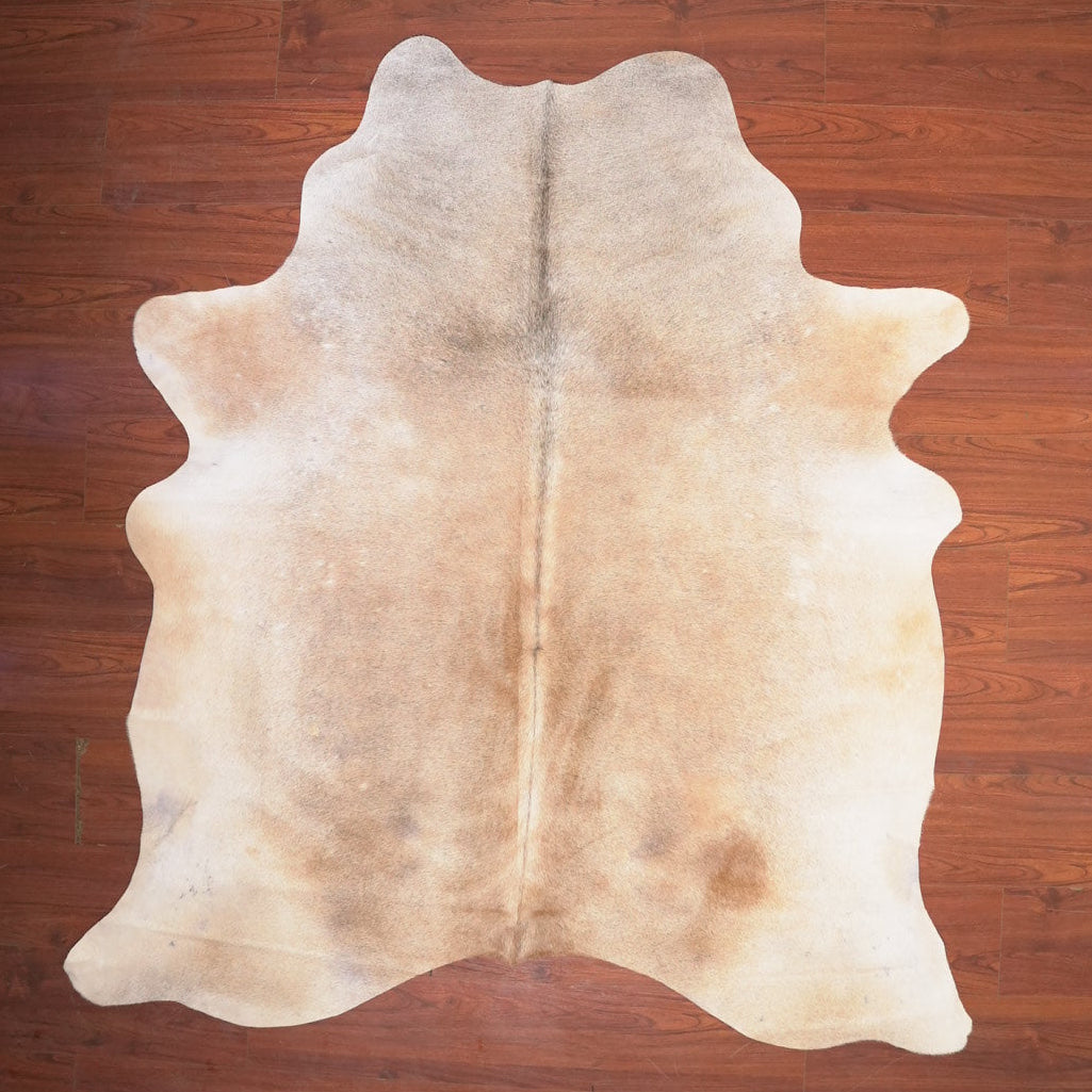 The Nguni Guy Nguni cowhide African decor Authentic cowhide Home decor Interior design Unique pattern Hand-selected Premium quality Natural beauty Exotic rug Genuine hide Statement piece Contemporary style Ethically sourced Sustainable decor Versatile accent Luxury rug Designer piece Modern aesthetic High-end craftsmanship Timeless elegance Designer home accents
