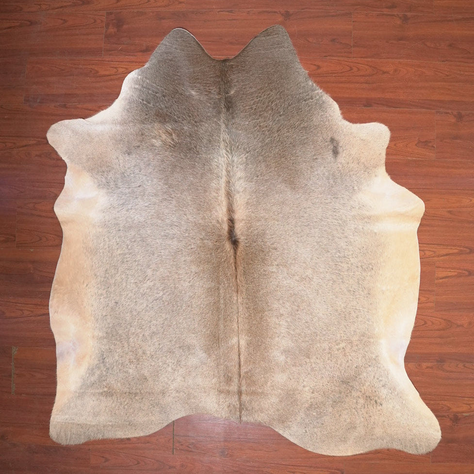 The Nguni Guy Nguni cowhide African decor Authentic cowhide Home decor Interior design Unique pattern Hand-selected Premium quality Natural beauty Exotic rug Genuine hide Statement piece Contemporary style Ethically sourced Sustainable decor Versatile accent Luxury rug Designer piece Modern aesthetic High-end craftsmanship Timeless elegance Designer home accents