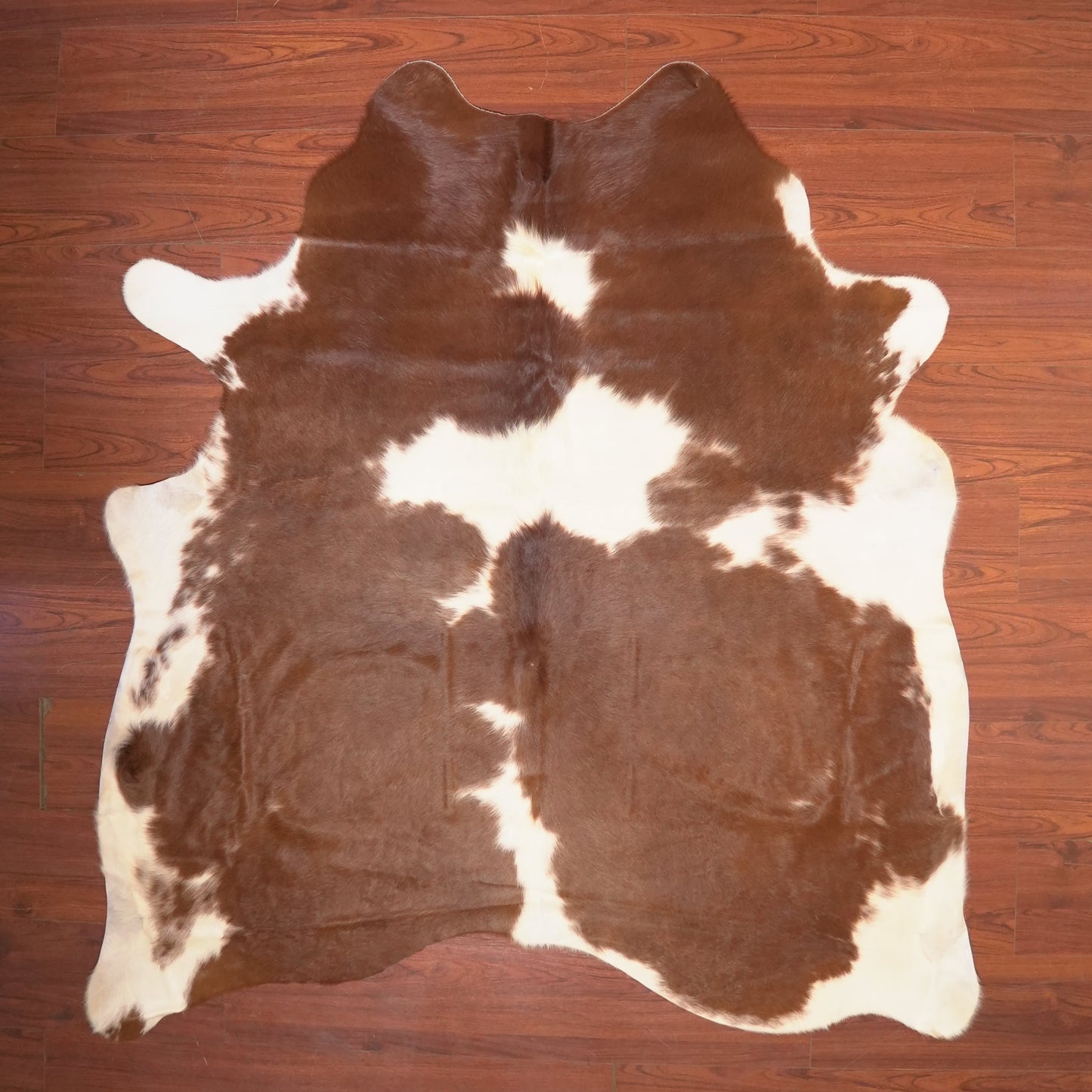 The Nguni Guy Nguni cowhide African decor Authentic cowhide Home decor Interior design Unique pattern Hand-selected Premium quality Natural beauty Exotic rug Genuine hide Statement piece Contemporary style Ethically sourced Sustainable decor Versatile accent Luxury rug Designer piece Modern aesthetic High-end craftsmanship Timeless elegance Designer home accents