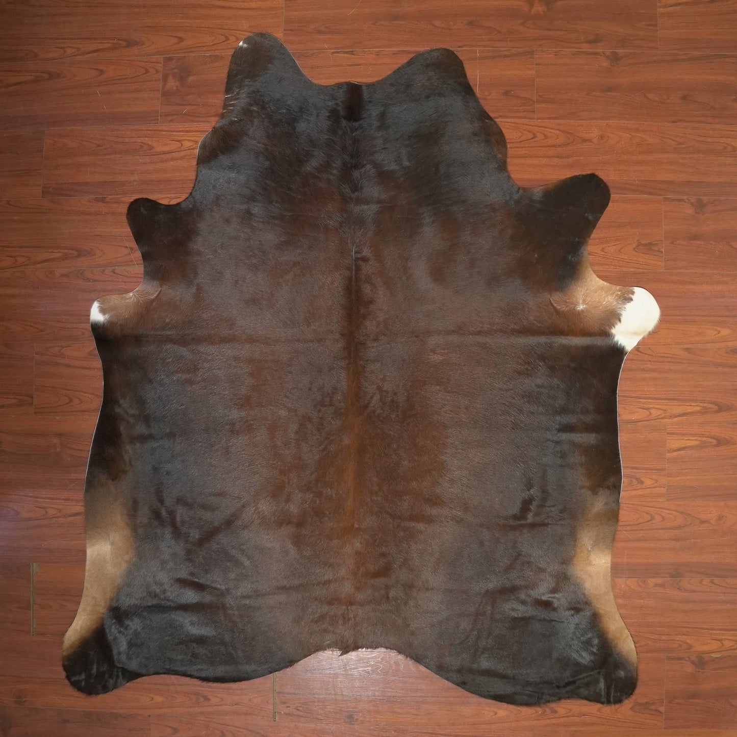 The Nguni Guy Nguni cowhide African decor Authentic cowhide Home decor Interior design Unique pattern Hand-selected Premium quality Natural beauty Exotic rug Genuine hide Statement piece Contemporary style Ethically sourced Sustainable decor Versatile accent Luxury rug Designer piece Modern aesthetic High-end craftsmanship Timeless elegance Designer home accents