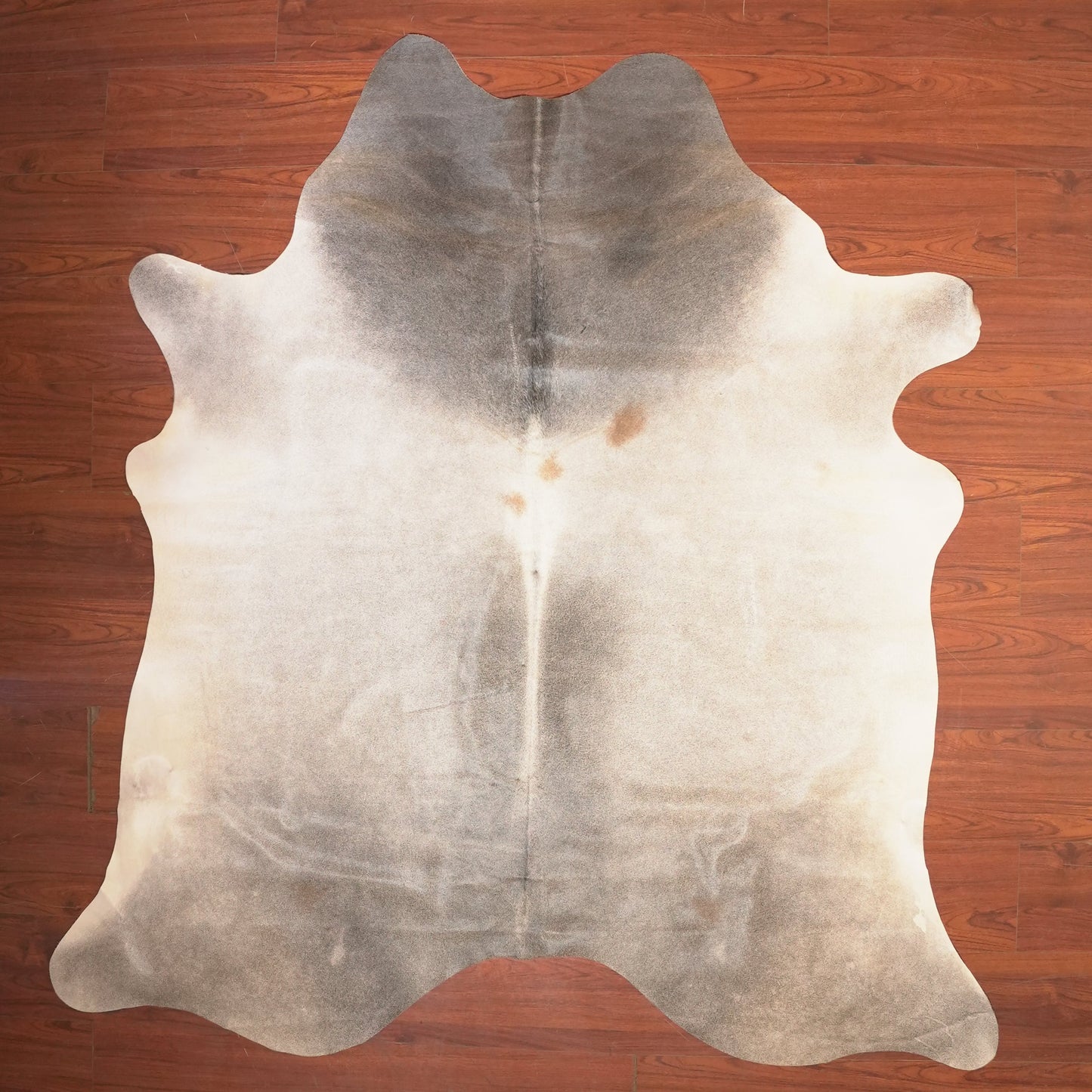 The Nguni Guy Nguni cowhide African decor Authentic cowhide Home decor Interior design Unique pattern Hand-selected Premium quality Natural beauty Exotic rug Genuine hide Statement piece Contemporary style Ethically sourced Sustainable decor Versatile accent Luxury rug Designer piece Modern aesthetic High-end craftsmanship Timeless elegance Designer home accents