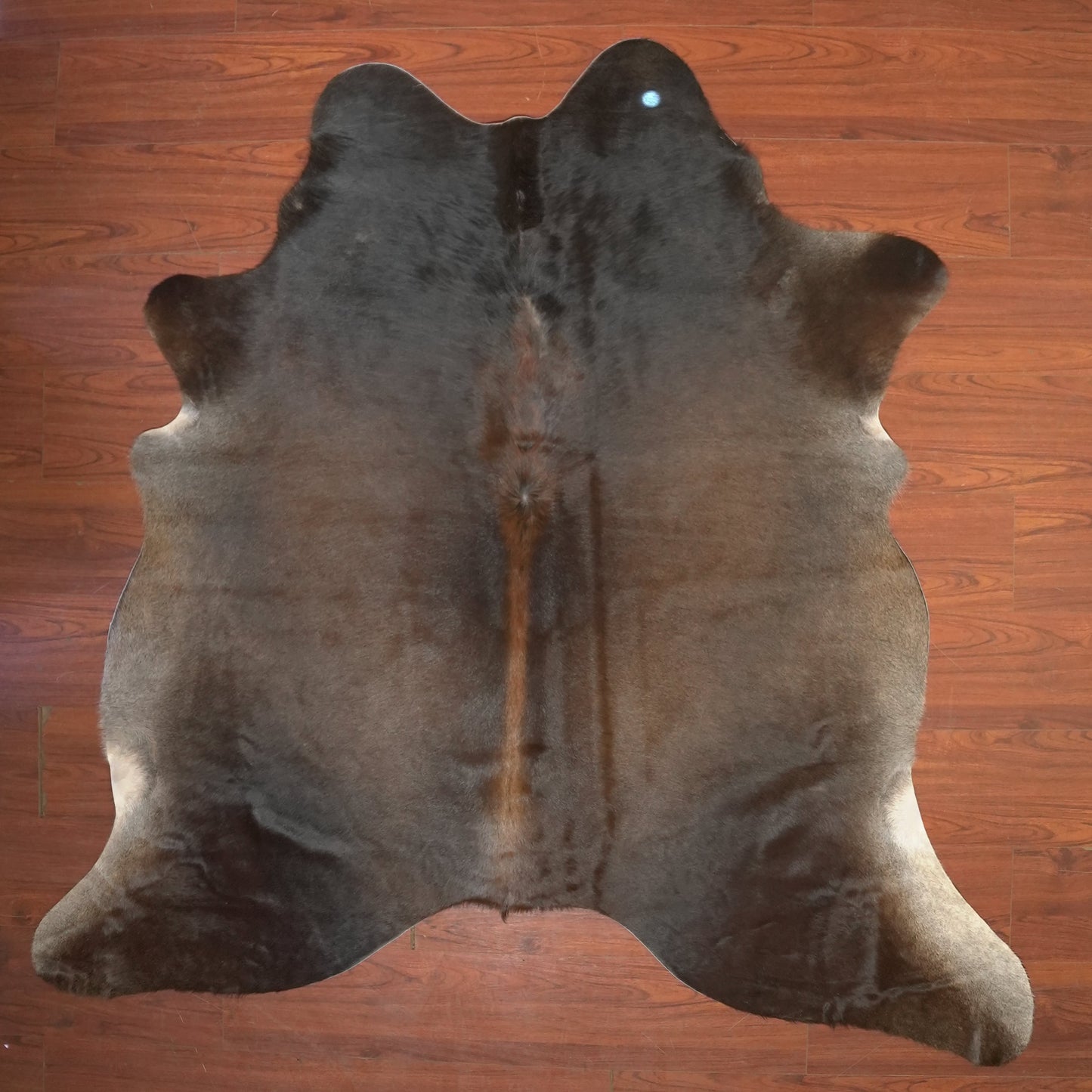The Nguni Guy Nguni cowhide African decor Authentic cowhide Home decor Interior design Unique pattern Hand-selected Premium quality Natural beauty Exotic rug Genuine hide Statement piece Contemporary style Ethically sourced Sustainable decor Versatile accent Luxury rug Designer piece Modern aesthetic High-end craftsmanship Timeless elegance Designer home accents