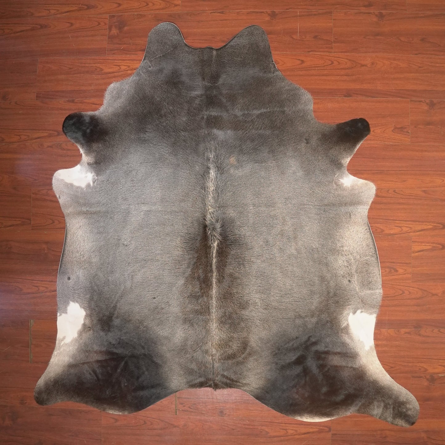 The Nguni Guy Nguni cowhide African decor Authentic cowhide Home decor Interior design Unique pattern Hand-selected Premium quality Natural beauty Exotic rug Genuine hide Statement piece Contemporary style Ethically sourced Sustainable decor Versatile accent Luxury rug Designer piece Modern aesthetic High-end craftsmanship Timeless elegance Designer home accents