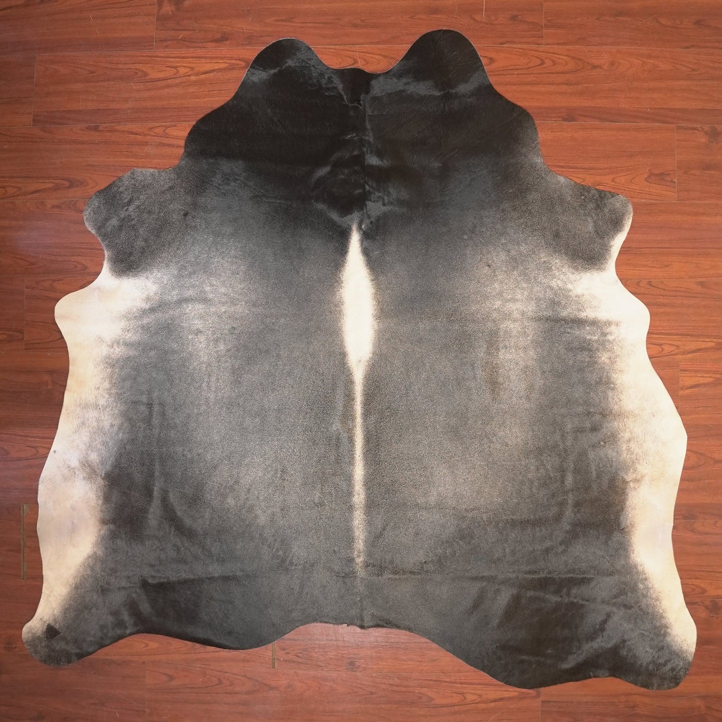 The Nguni Guy Nguni cowhide African decor Authentic cowhide Home decor Interior design Unique pattern Hand-selected Premium quality Natural beauty Exotic rug Genuine hide Statement piece Contemporary style Ethically sourced Sustainable decor Versatile accent Luxury rug Designer piece Modern aesthetic High-end craftsmanship Timeless elegance Designer home accents