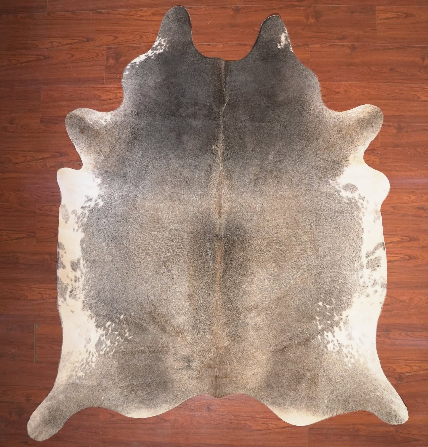 The Nguni Guy Nguni cowhide African decor Authentic cowhide Home decor Interior design Unique pattern Hand-selected Premium quality Natural beauty Exotic rug Genuine hide Statement piece Contemporary style Ethically sourced Sustainable decor Versatile accent Luxury rug Designer piece Modern aesthetic High-end craftsmanship Timeless elegance Designer home accents