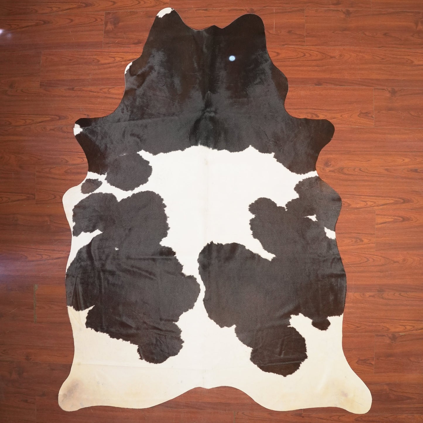 The Nguni Guy Nguni cowhide African decor Authentic cowhide Home decor Interior design Unique pattern Hand-selected Premium quality Natural beauty Exotic rug Genuine hide Statement piece Contemporary style Ethically sourced Sustainable decor Versatile accent Luxury rug Designer piece Modern aesthetic High-end craftsmanship Timeless elegance Designer home accents
