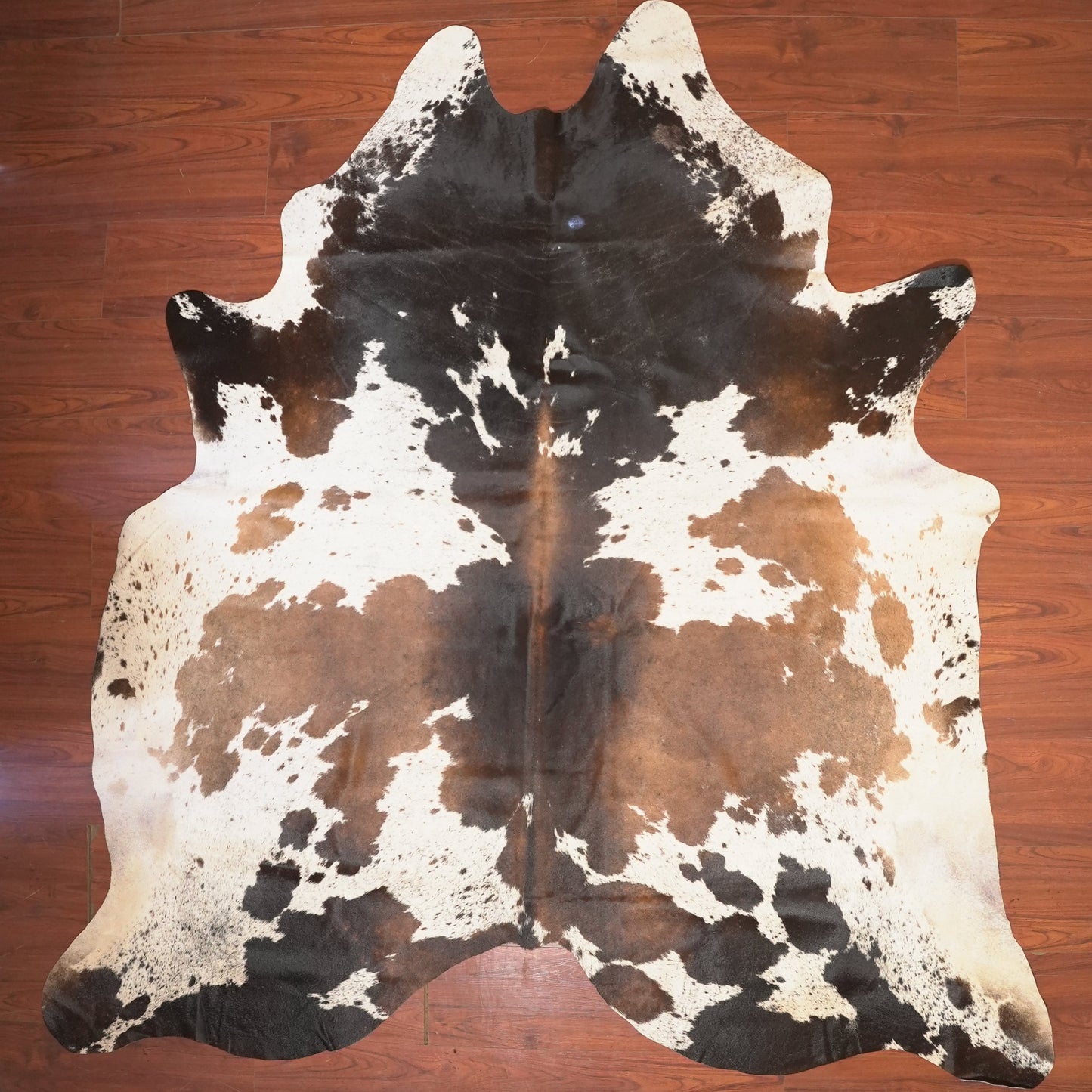 The Nguni Guy Nguni cowhide African decor Authentic cowhide Home decor Interior design Unique pattern Hand-selected Premium quality Natural beauty Exotic rug Genuine hide Statement piece Contemporary style Ethically sourced Sustainable decor Versatile accent Luxury rug Designer piece Modern aesthetic High-end craftsmanship Timeless elegance Designer home accents
