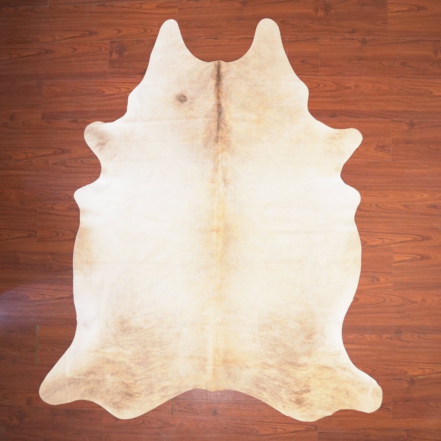 The Nguni Guy Nguni cowhide African decor Authentic cowhide Home decor Interior design Unique pattern Hand-selected Premium quality Natural beauty Exotic rug Genuine hide Statement piece Contemporary style Ethically sourced Sustainable decor Versatile accent Luxury rug Designer piece Modern aesthetic High-end craftsmanship Timeless elegance Designer home accents