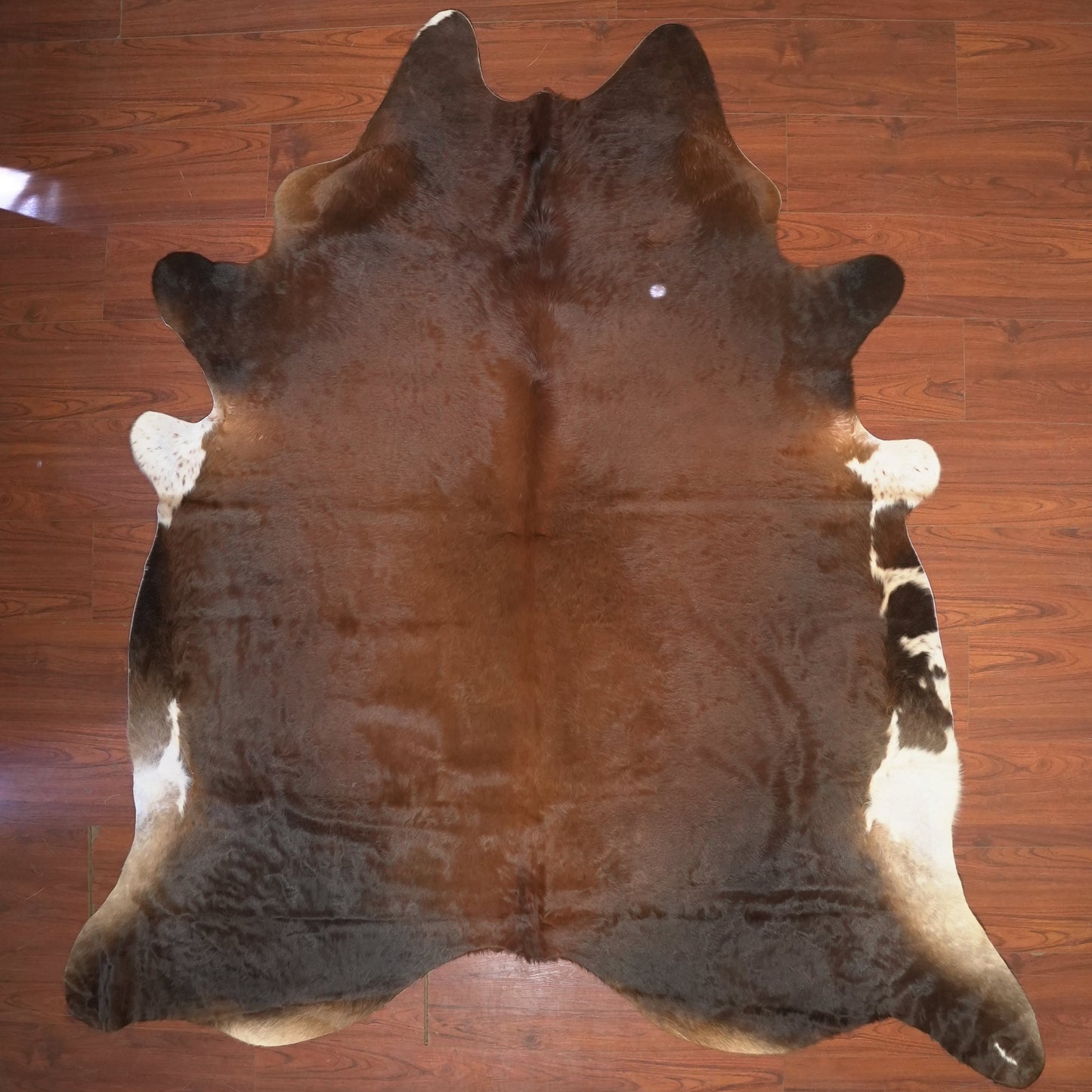 The Nguni Guy Nguni cowhide African decor Authentic cowhide Home decor Interior design Unique pattern Hand-selected Premium quality Natural beauty Exotic rug Genuine hide Statement piece Contemporary style Ethically sourced Sustainable decor Versatile accent Luxury rug Designer piece Modern aesthetic High-end craftsmanship Timeless elegance Designer home accents