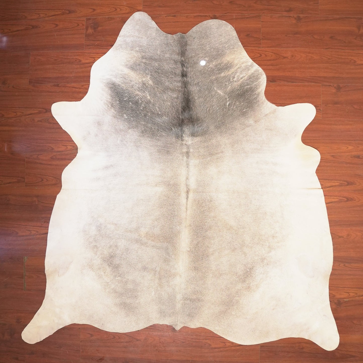 The Nguni Guy Nguni cowhide African decor Authentic cowhide Home decor Interior design Unique pattern Hand-selected Premium quality Natural beauty Exotic rug Genuine hide Statement piece Contemporary style Ethically sourced Sustainable decor Versatile accent Luxury rug Designer piece Modern aesthetic High-end craftsmanship Timeless elegance Designer home accents
