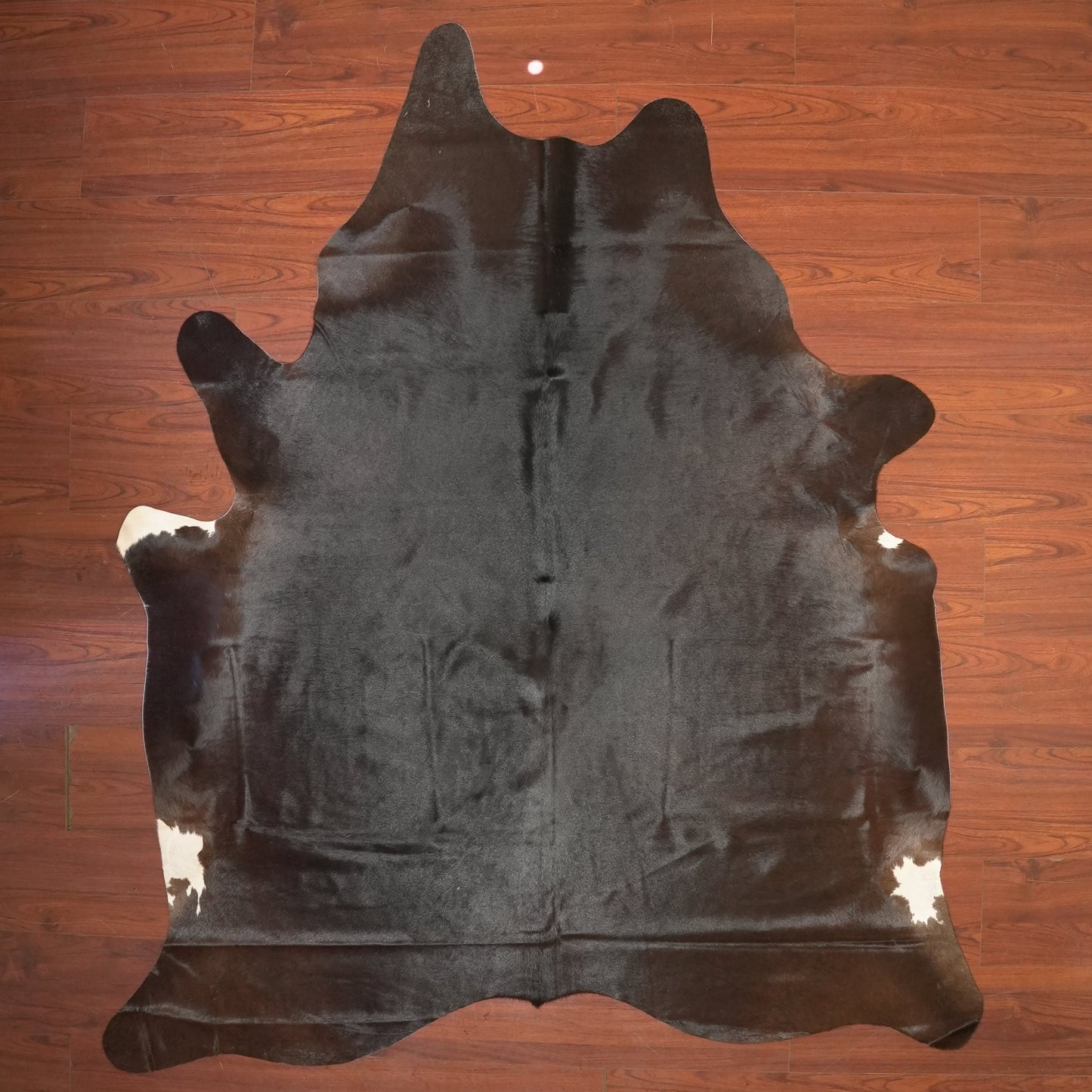 The Nguni Guy Nguni cowhide African decor Authentic cowhide Home decor Interior design Unique pattern Hand-selected Premium quality Natural beauty Exotic rug Genuine hide Statement piece Contemporary style Ethically sourced Sustainable decor Versatile accent Luxury rug Designer piece Modern aesthetic High-end craftsmanship Timeless elegance Designer home accents