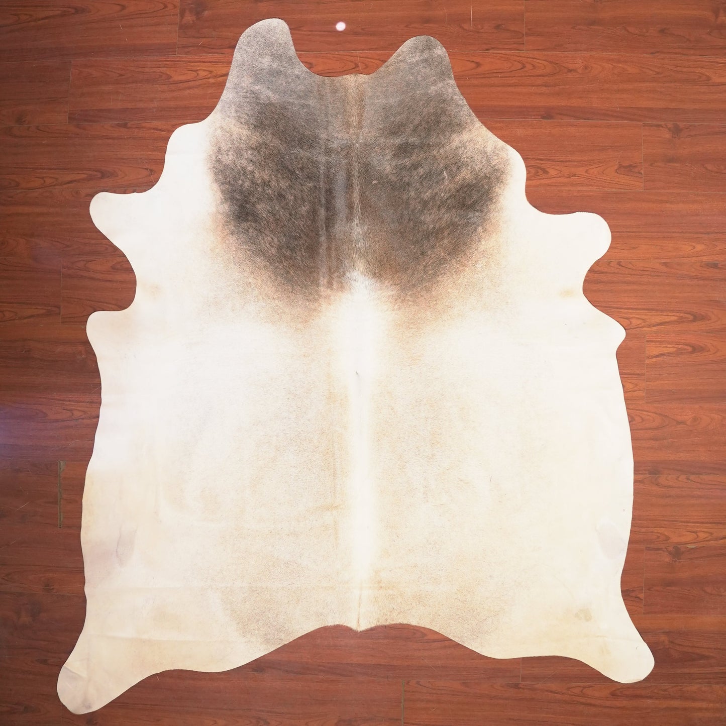 The Nguni Guy Nguni cowhide African decor Authentic cowhide Home decor Interior design Unique pattern Hand-selected Premium quality Natural beauty Exotic rug Genuine hide Statement piece Contemporary style Ethically sourced Sustainable decor Versatile accent Luxury rug Designer piece Modern aesthetic High-end craftsmanship Timeless elegance Designer home accents