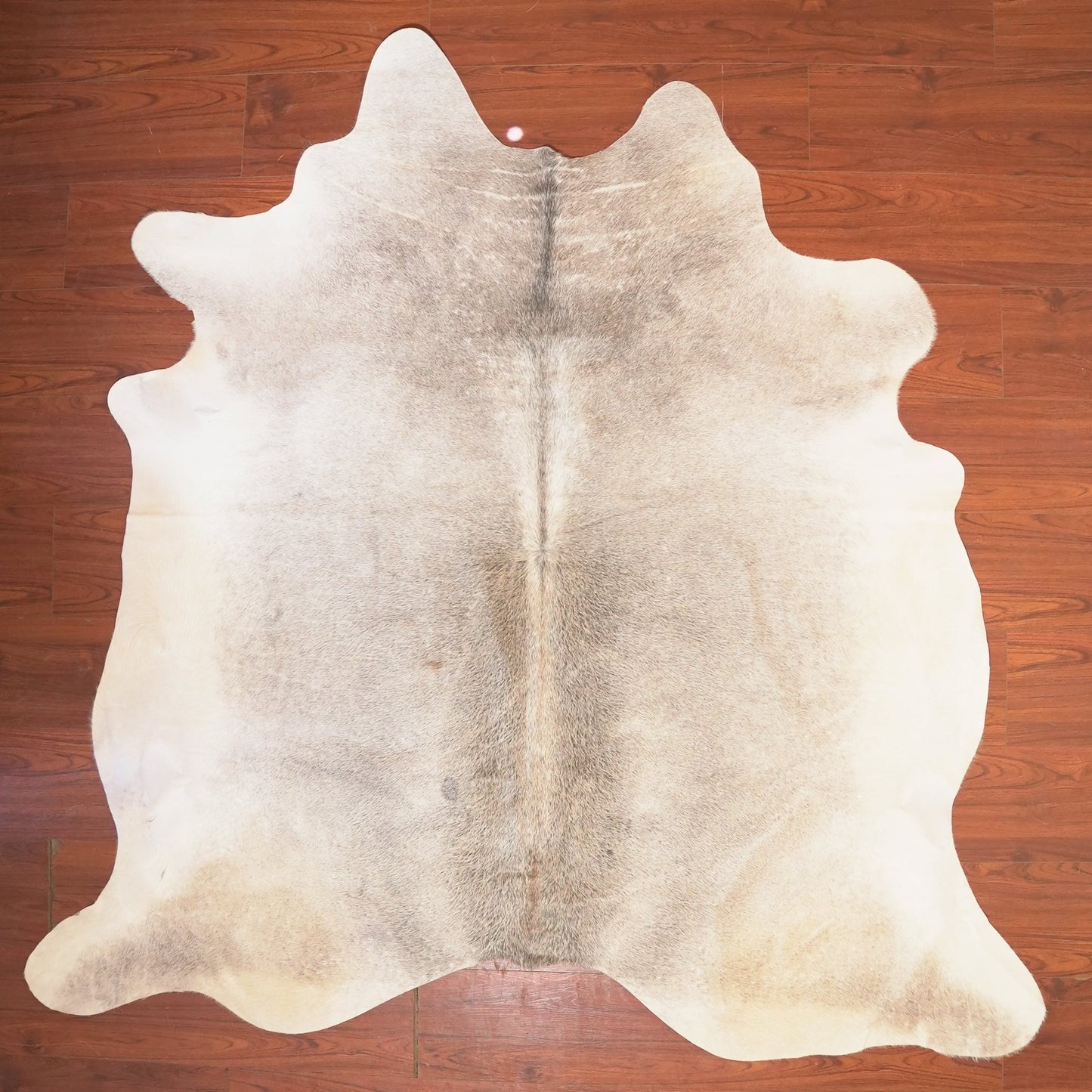 The Nguni Guy Nguni cowhide African decor Authentic cowhide Home decor Interior design Unique pattern Hand-selected Premium quality Natural beauty Exotic rug Genuine hide Statement piece Contemporary style Ethically sourced Sustainable decor Versatile accent Luxury rug Designer piece Modern aesthetic High-end craftsmanship Timeless elegance Designer home accents