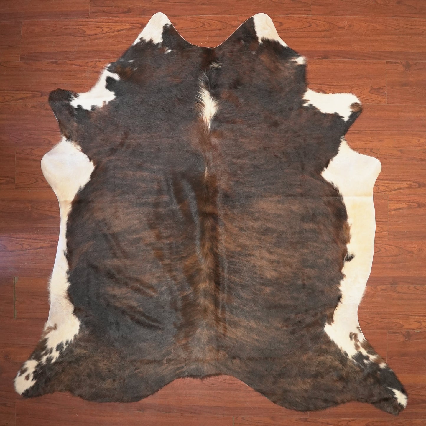 The Nguni Guy Nguni cowhide African decor Authentic cowhide Home decor Interior design Unique pattern Hand-selected Premium quality Natural beauty Exotic rug Genuine hide Statement piece Contemporary style Ethically sourced Sustainable decor Versatile accent Luxury rug Designer piece Modern aesthetic High-end craftsmanship Timeless elegance Designer home accents